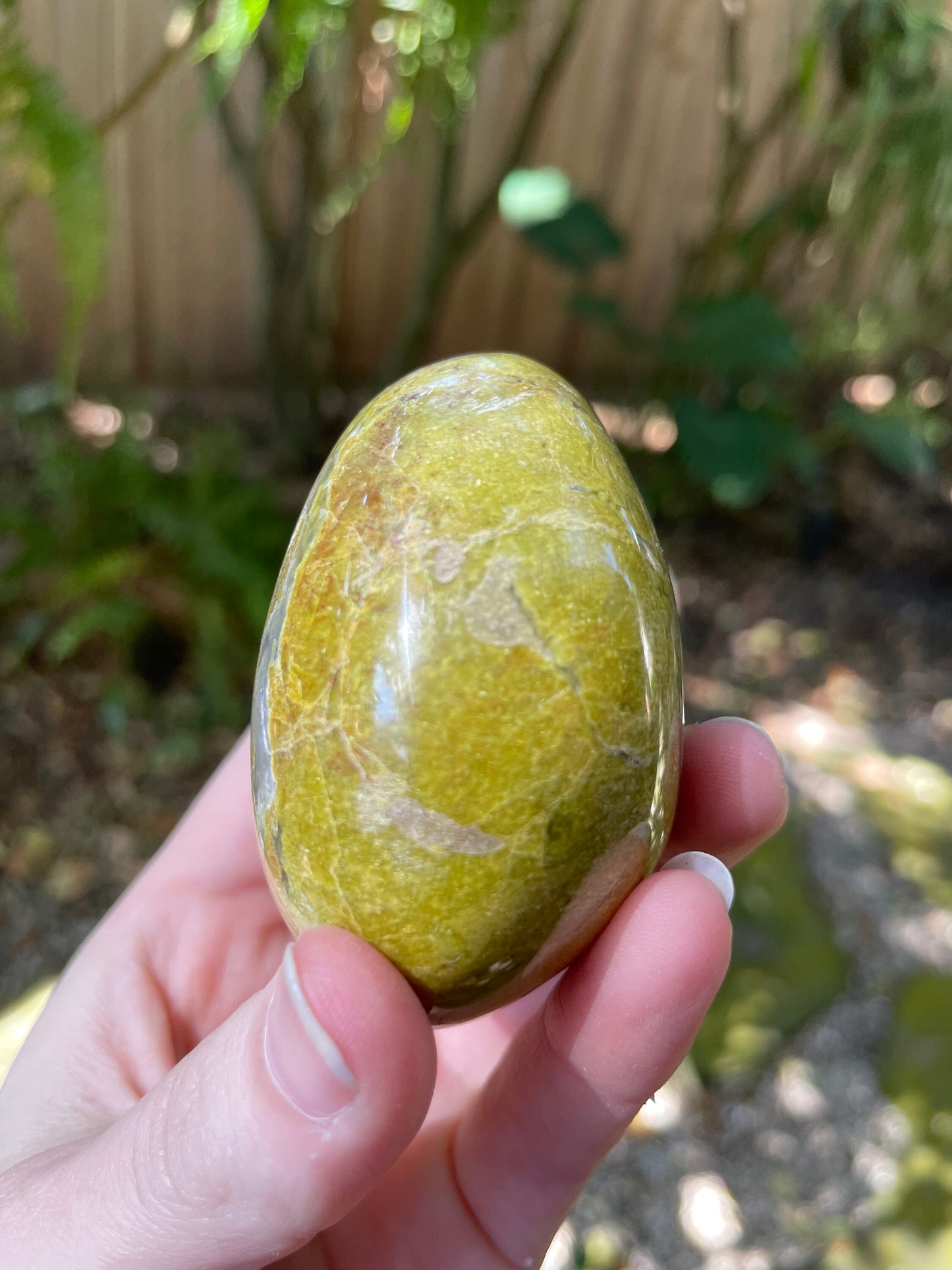 Polished Green Opal Palm Stone From Madagascar, Specimen 190g