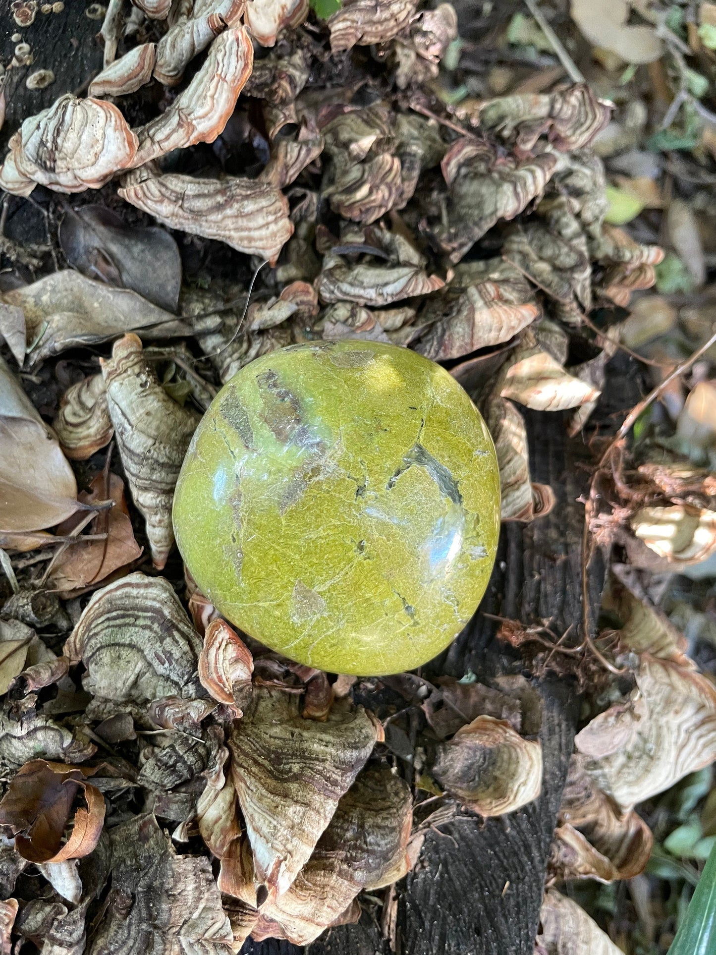 Polished Green Opal Palm Stone From Madagascar, Specimen 190g