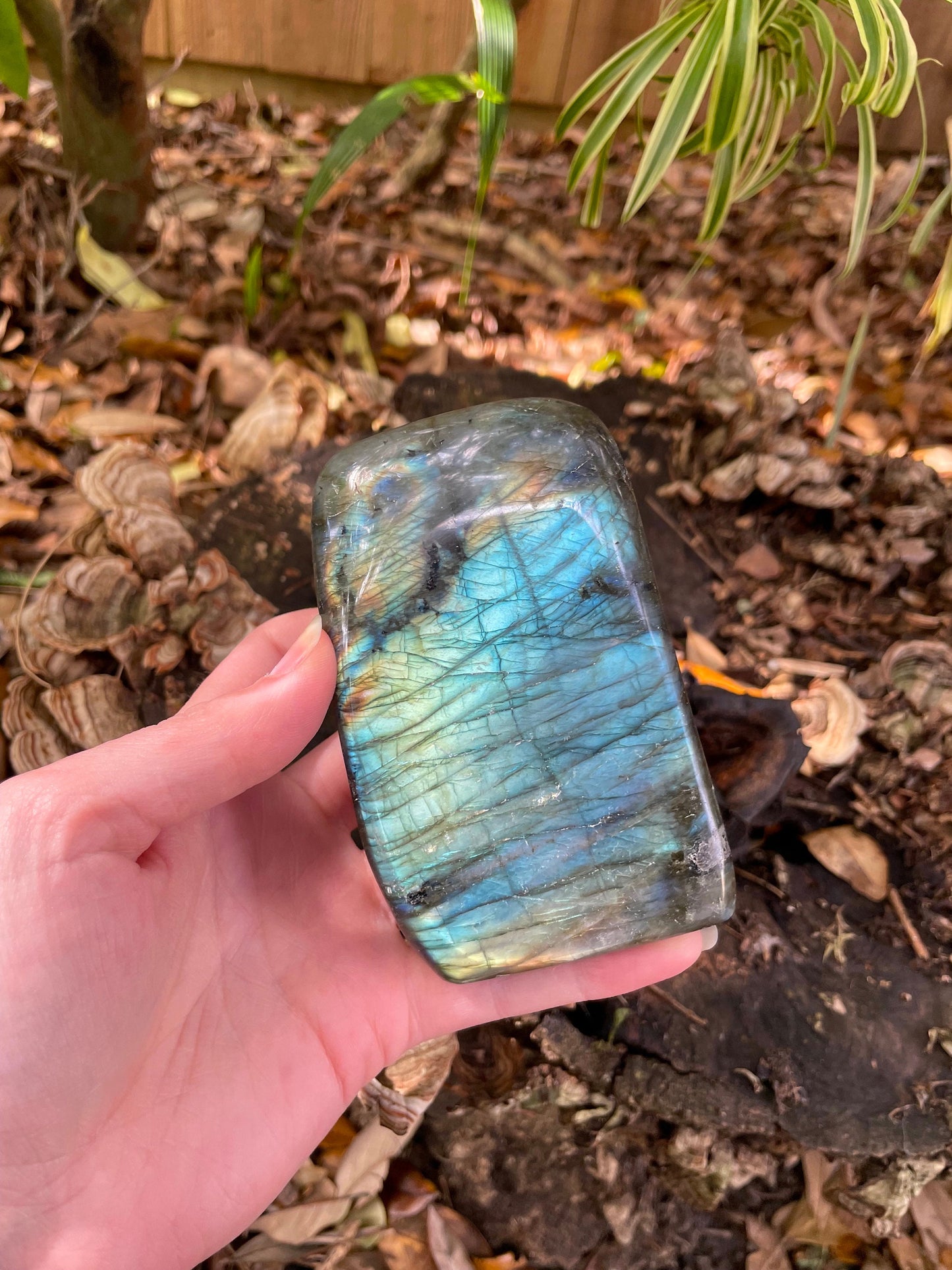 Large Polished Labradorite Freestanding Display Stone 600g 1lb 5.1o From Madagascar Great Flash!