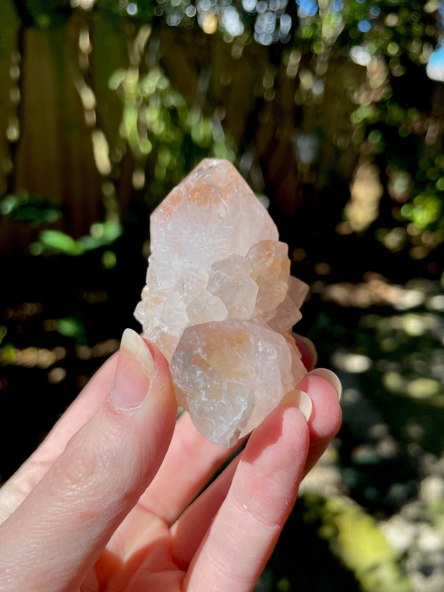 Spirit Quartz Cluster with Hematite Specimen 92g From South Africa