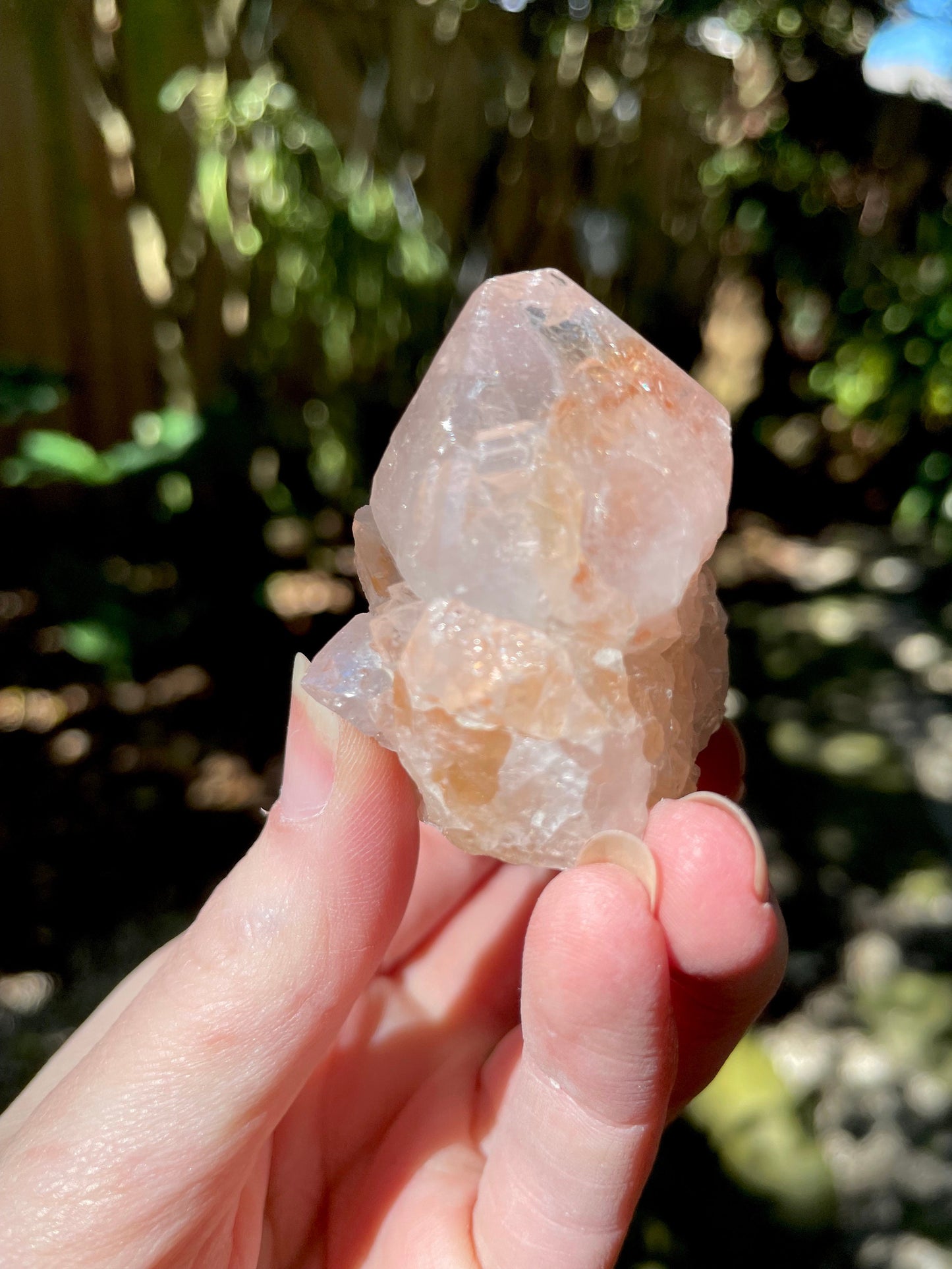 Spirit Quartz Cluster with Hematite Specimen 92g From South Africa