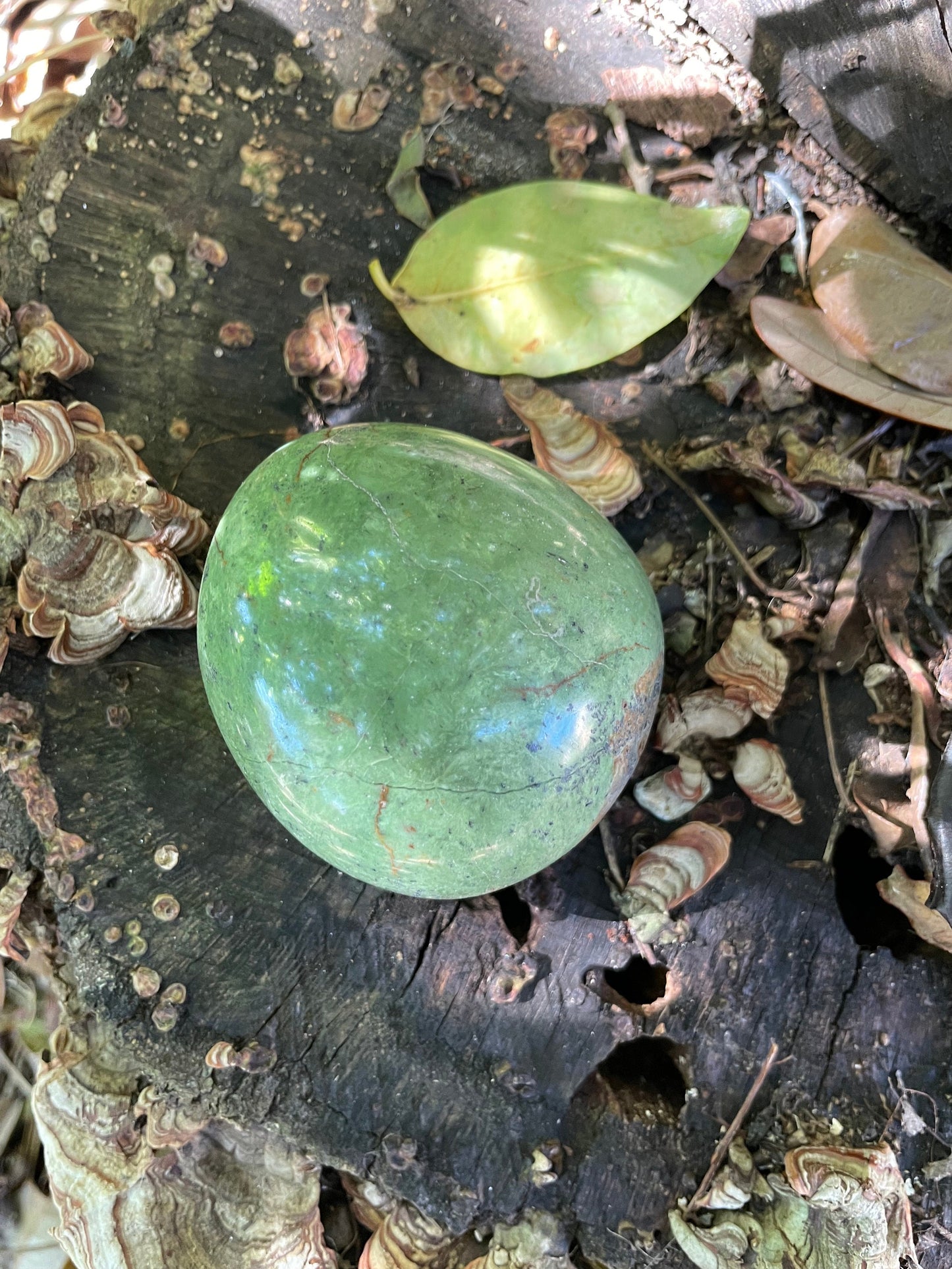 Polished Green Chrysocolla Palm Stone From Madagascar, Specimen 204.9g