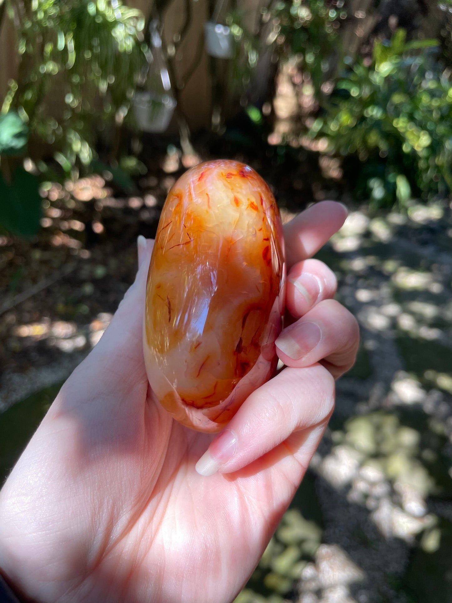 Carnelian Palm Stone/Gallete Specimen 251.5g From Madagascar