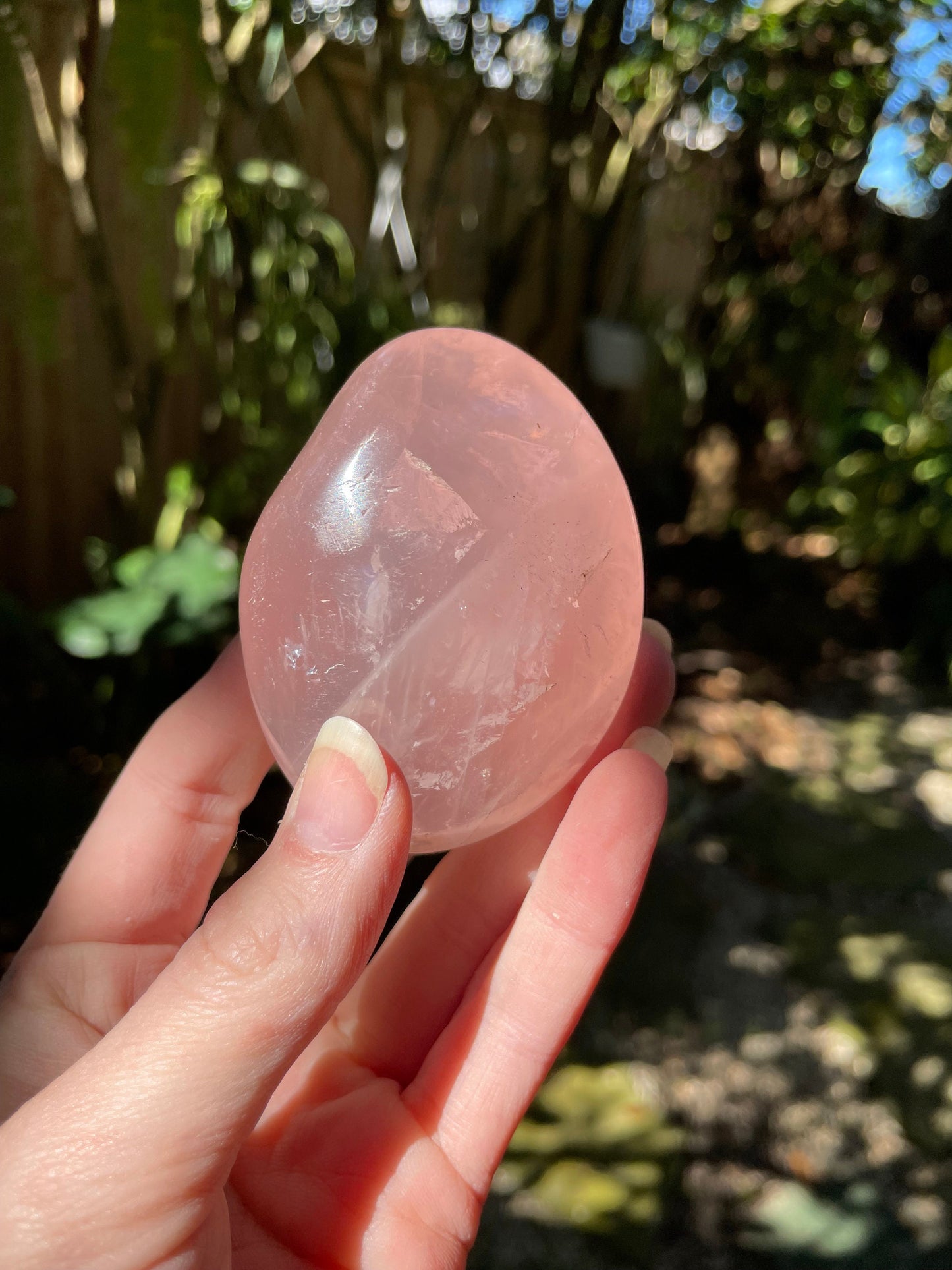 Polished Rose Quartz Palm Stone From Madagascar 148.3g Specimen