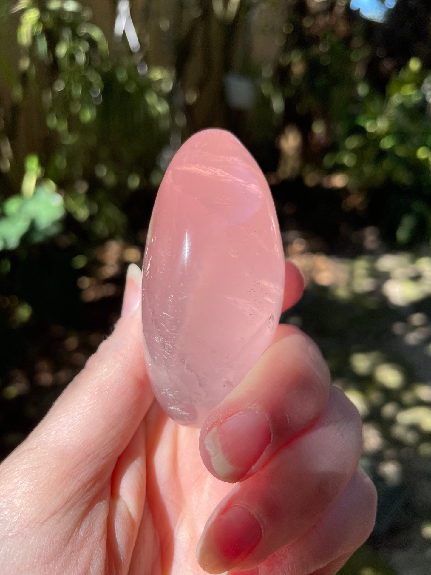 Polished Rose Quartz Palm Stone From Madagascar 148.3g Specimen