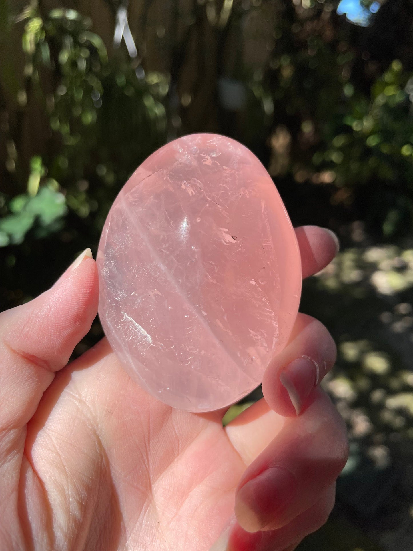 Polished Rose Quartz Palm Stone From Madagascar 148.3g Specimen