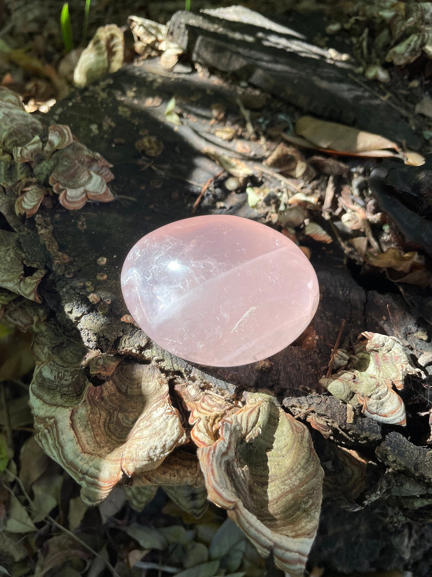 Polished Rose Quartz Palm Stone From Madagascar 148.3g Specimen