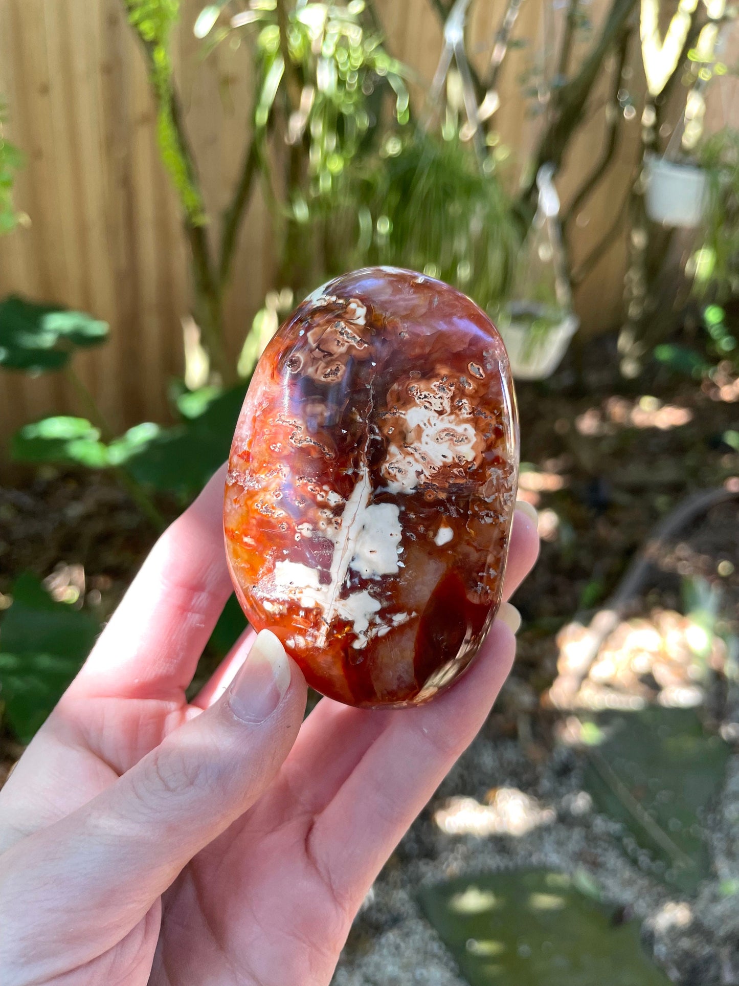 Carnelian Palm Stone Specimen 189.2g From Madagascar Specimen