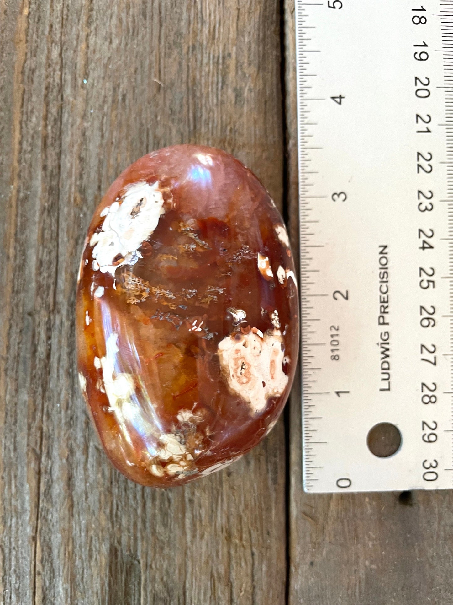 Carnelian Palm Stone Specimen 189.2g From Madagascar Specimen