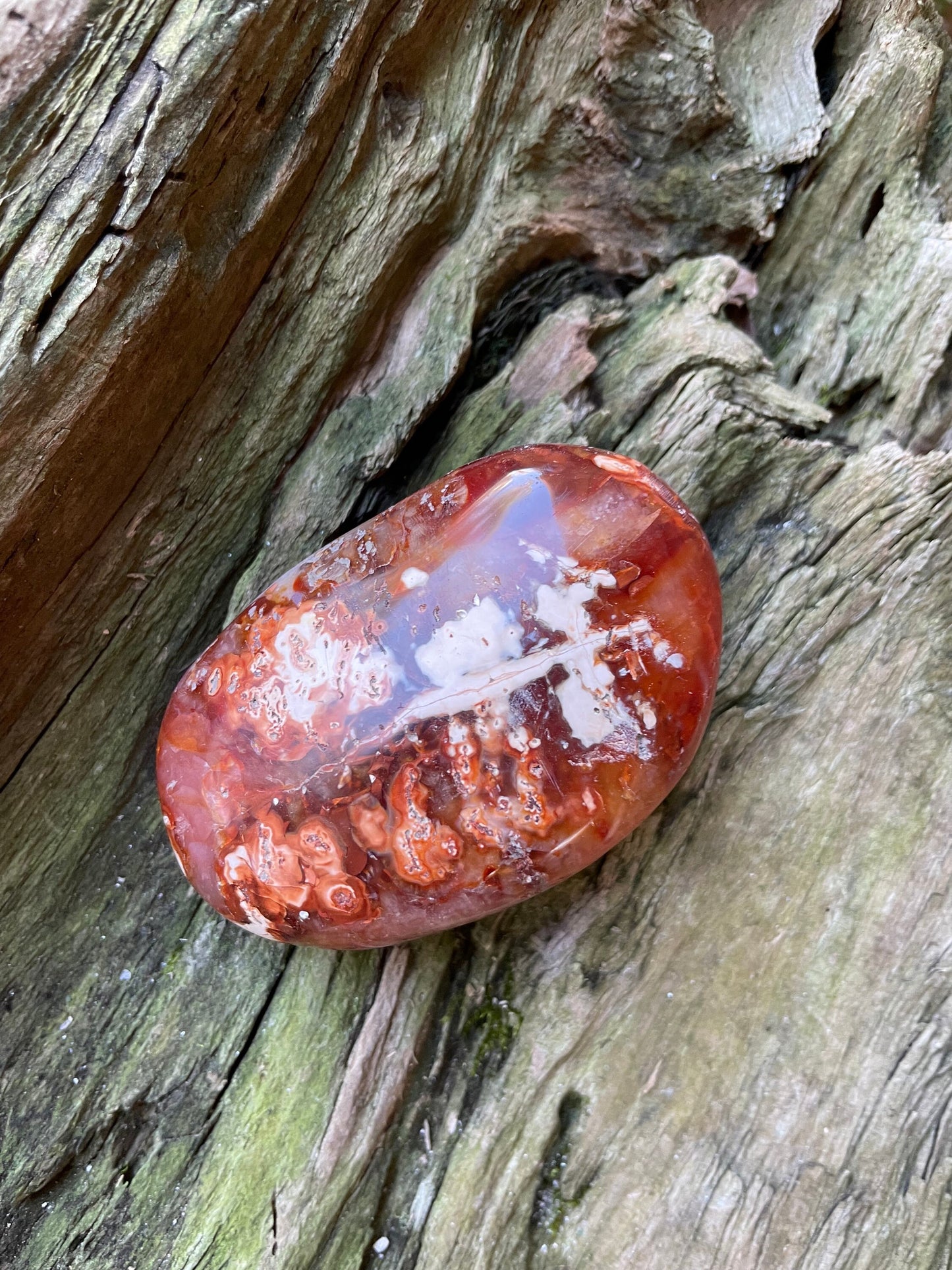 Carnelian Palm Stone Specimen 189.2g From Madagascar Specimen