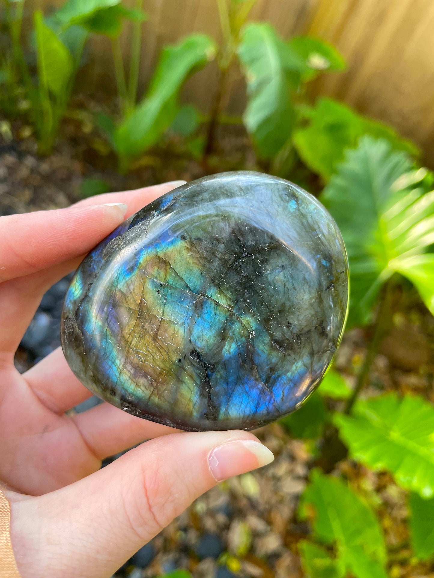 Lovely Polished Rainbow Labradorite Palm Stone 196g Rainbow Flash From Madagascar