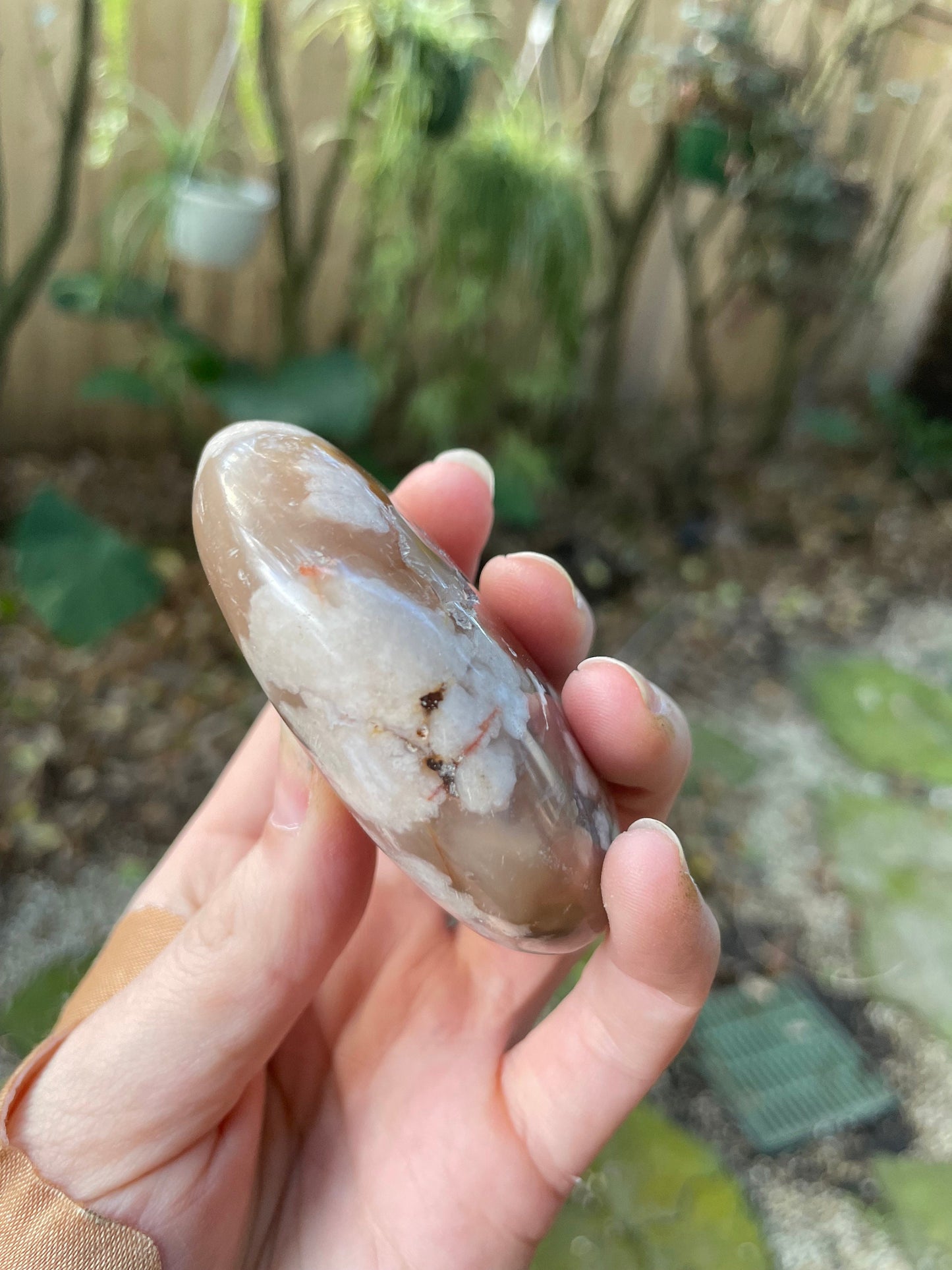 Flower Agate chalcedony Palm Stone Specimen 138.2g from Madagascar Mineral Crystal