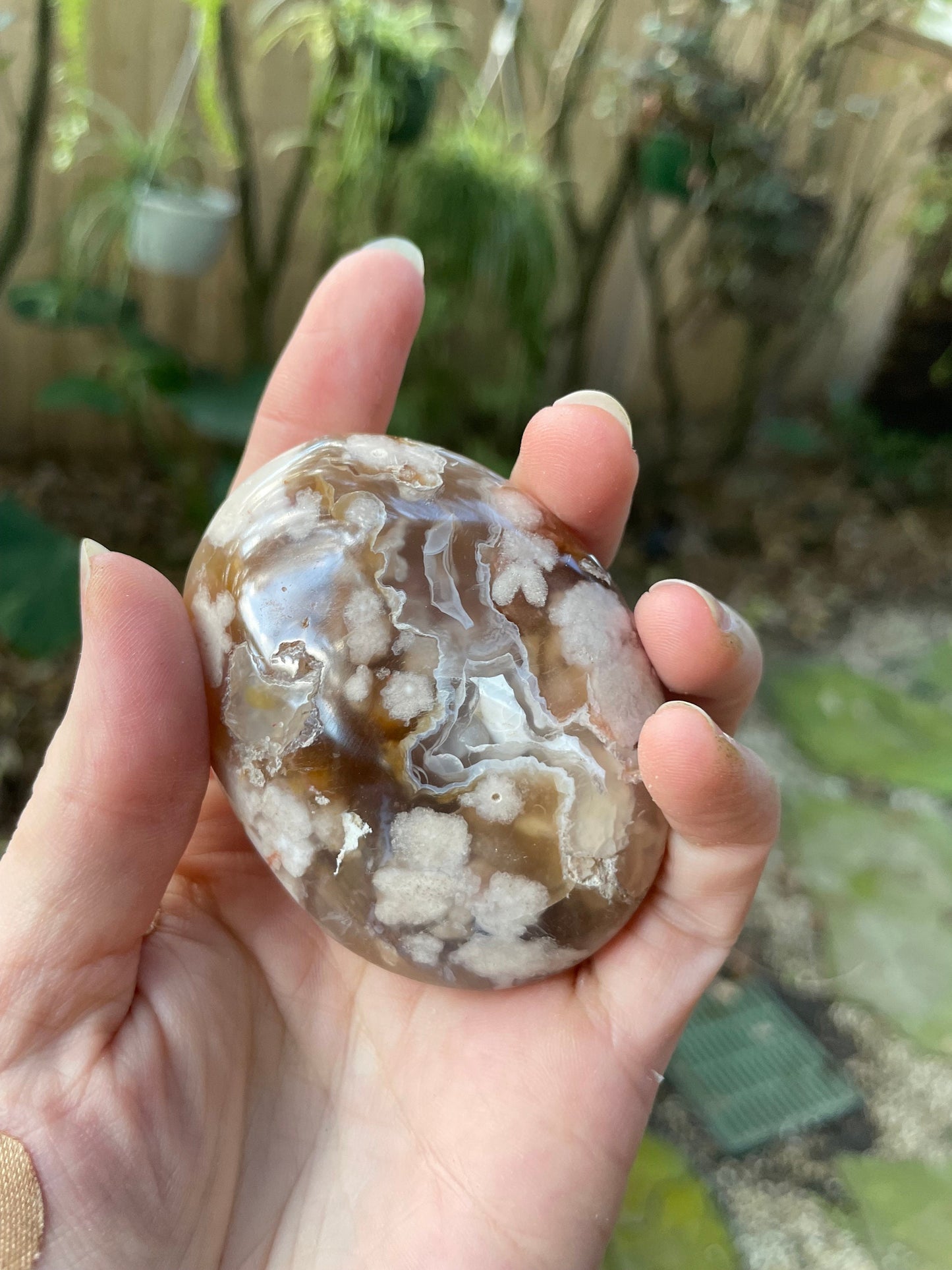 Flower Agate chalcedony Palm Stone Specimen 138.2g from Madagascar Mineral Crystal