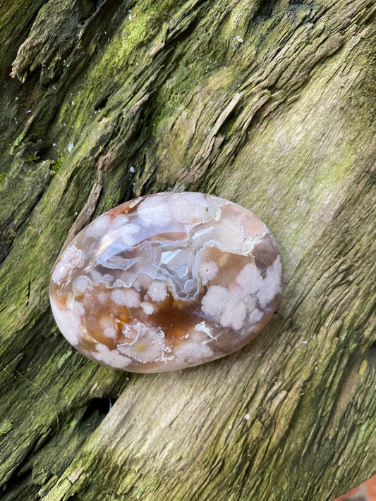 Flower Agate chalcedony Palm Stone Specimen 138.2g from Madagascar Mineral Crystal