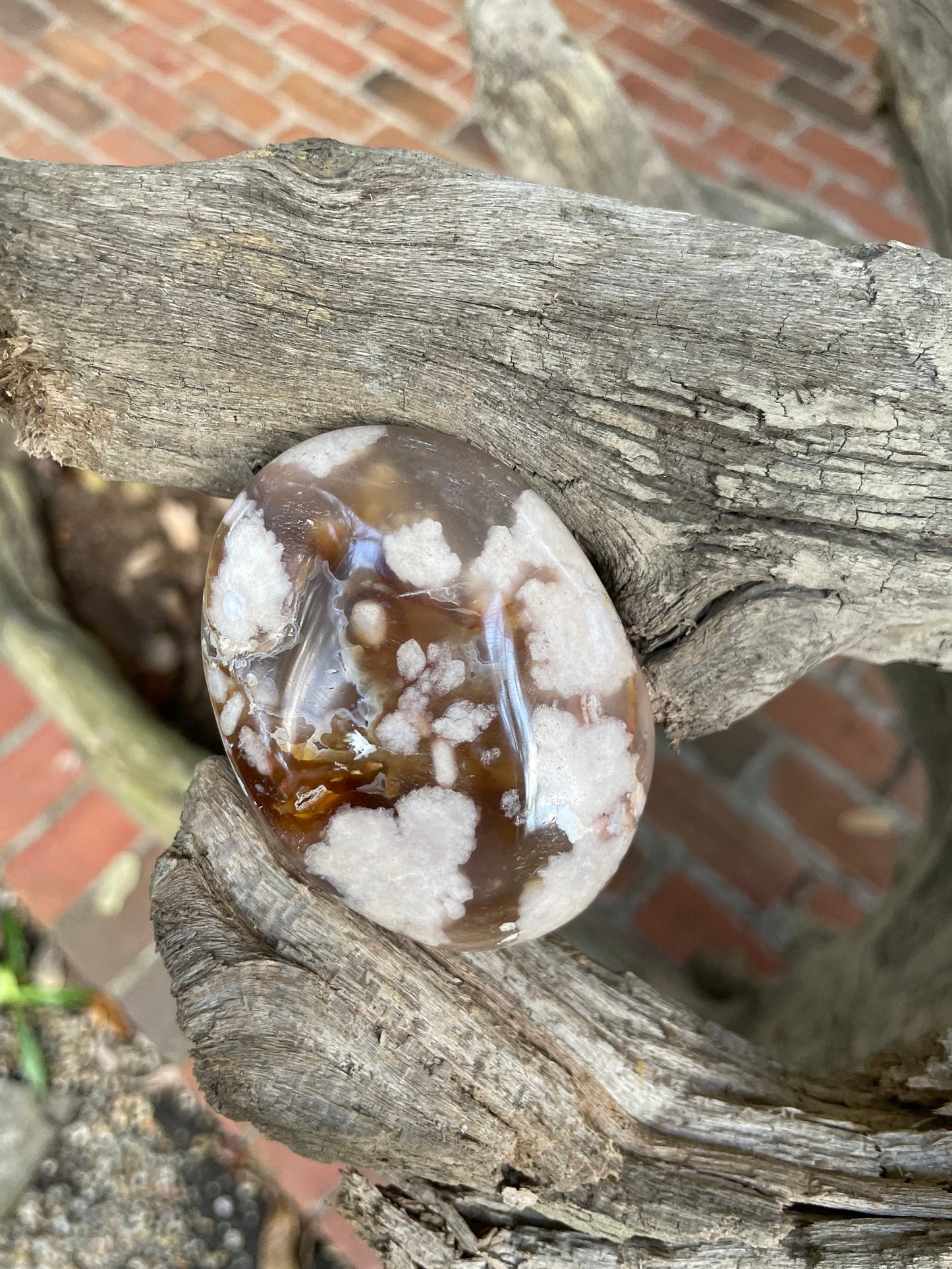 Flower Agate chalcedony Palm Stone Specimen 138.2g from Madagascar Mineral Crystal