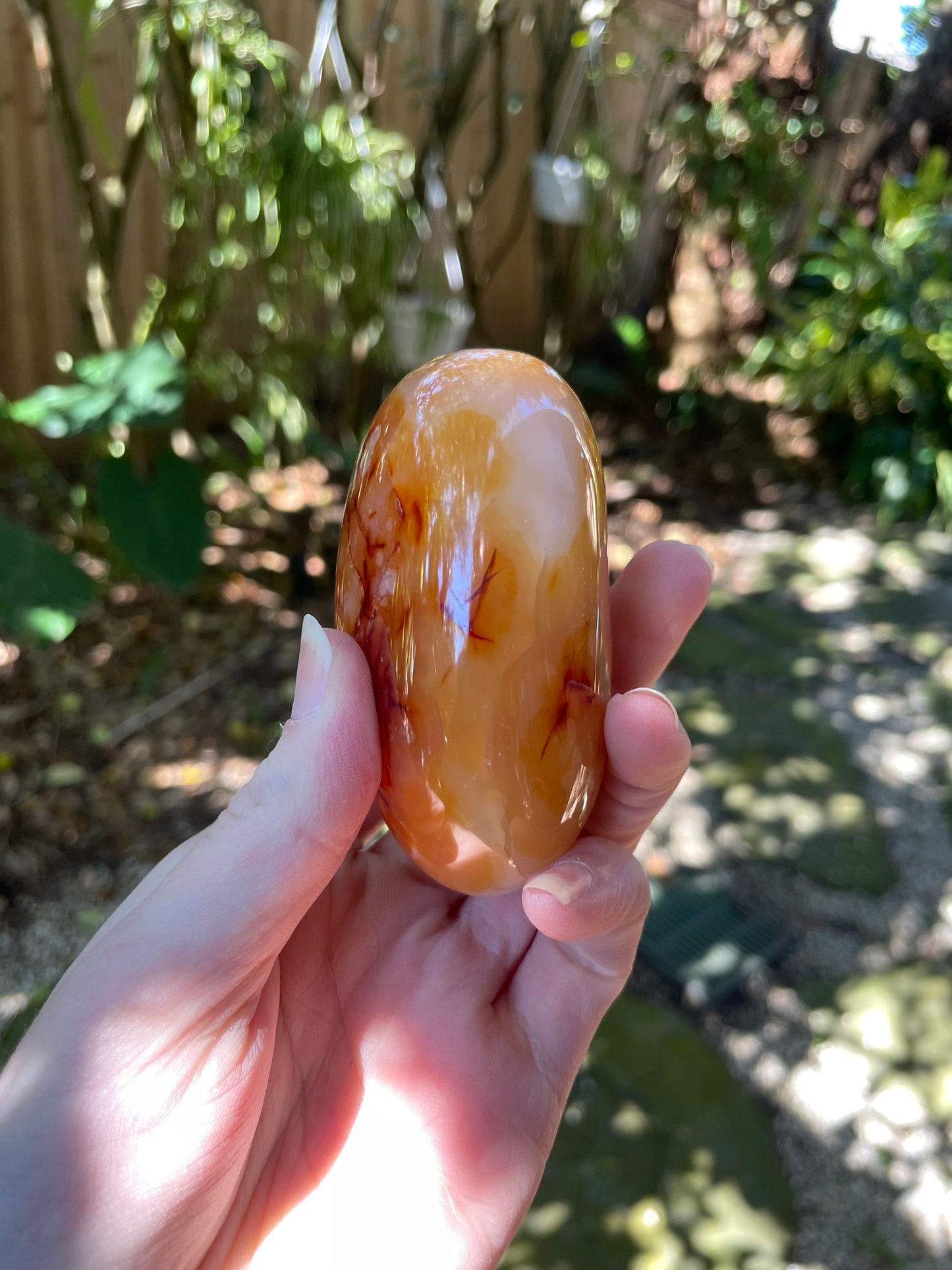 Carnelian Palm Stone/Gallete Specimen 251.5g From Madagascar