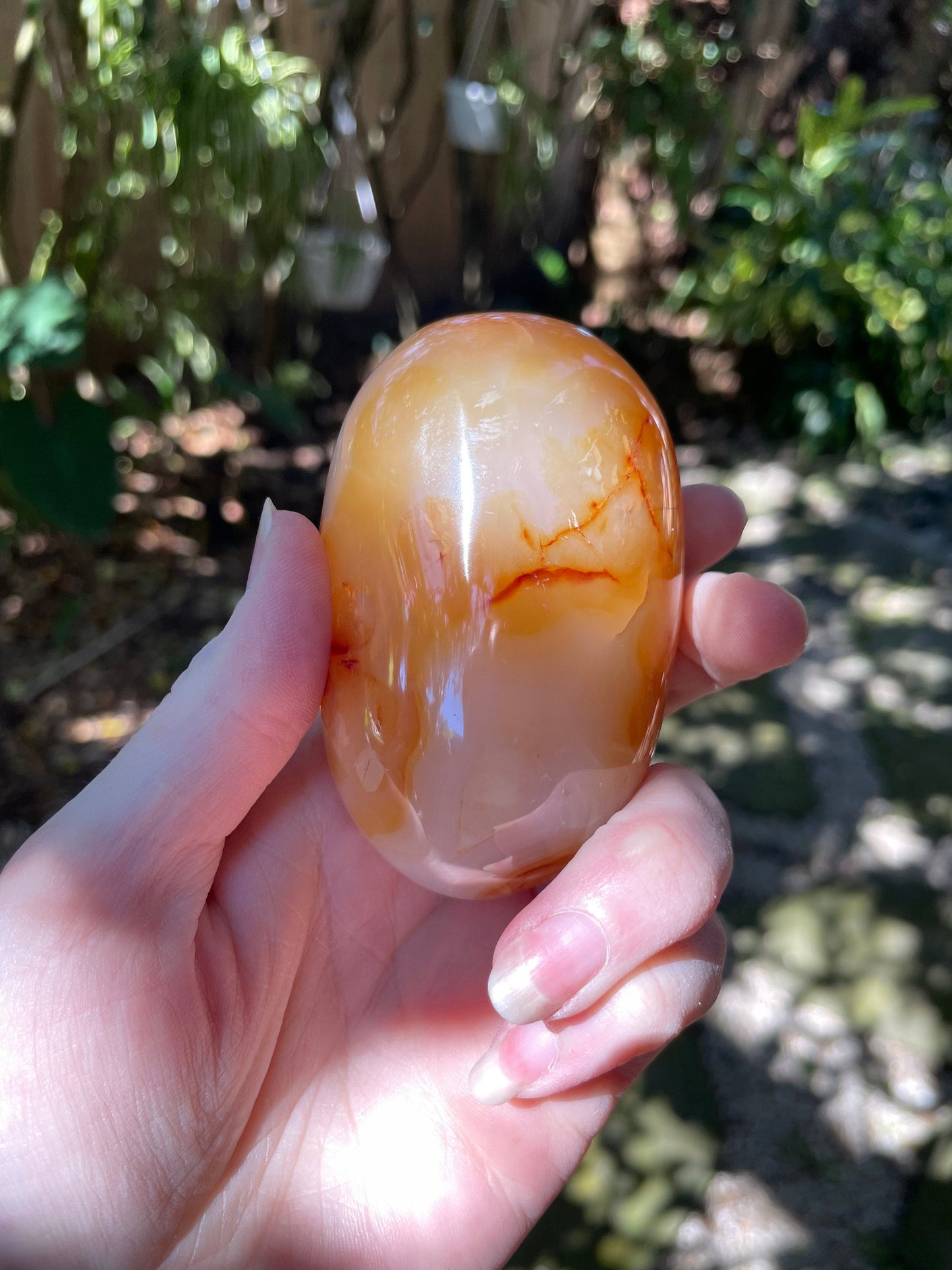 Carnelian Palm Stone/Gallete Specimen 251.5g From Madagascar