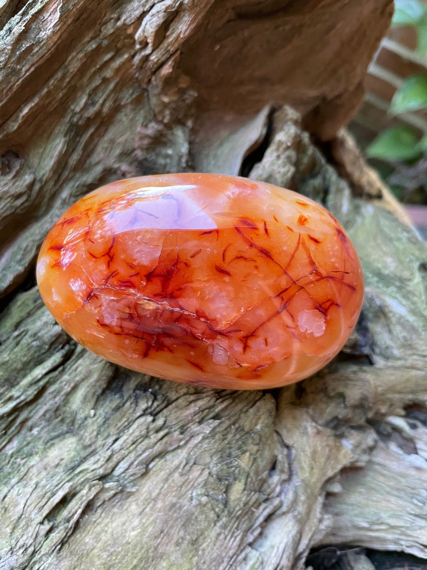 Carnelian Palm Stone/Gallete Specimen 251.5g From Madagascar