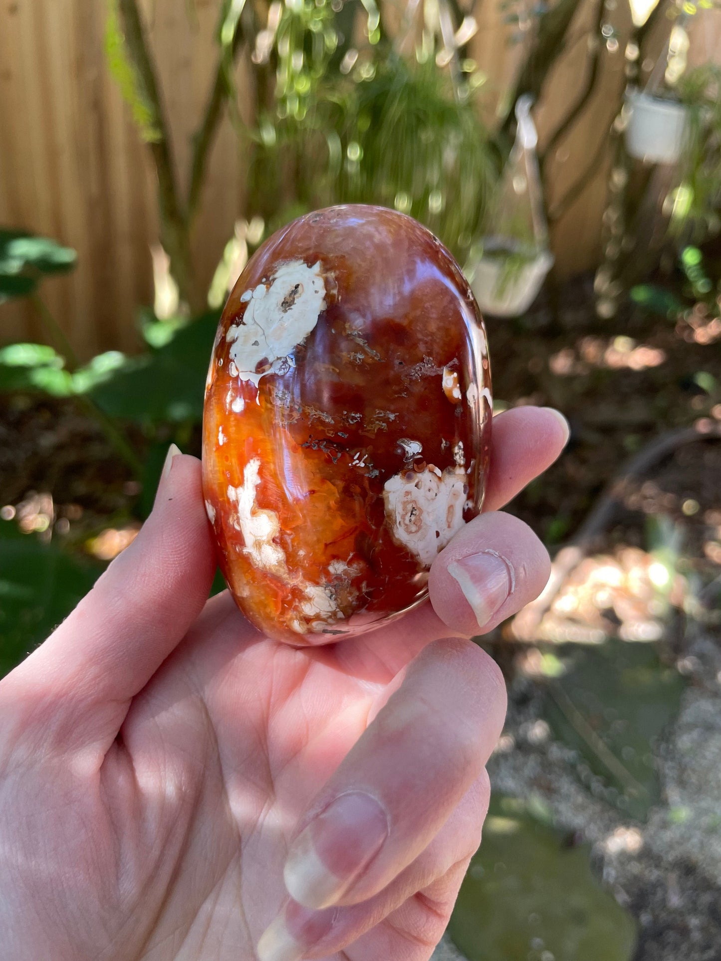 Carnelian Palm Stone Specimen 189.2g From Madagascar Specimen