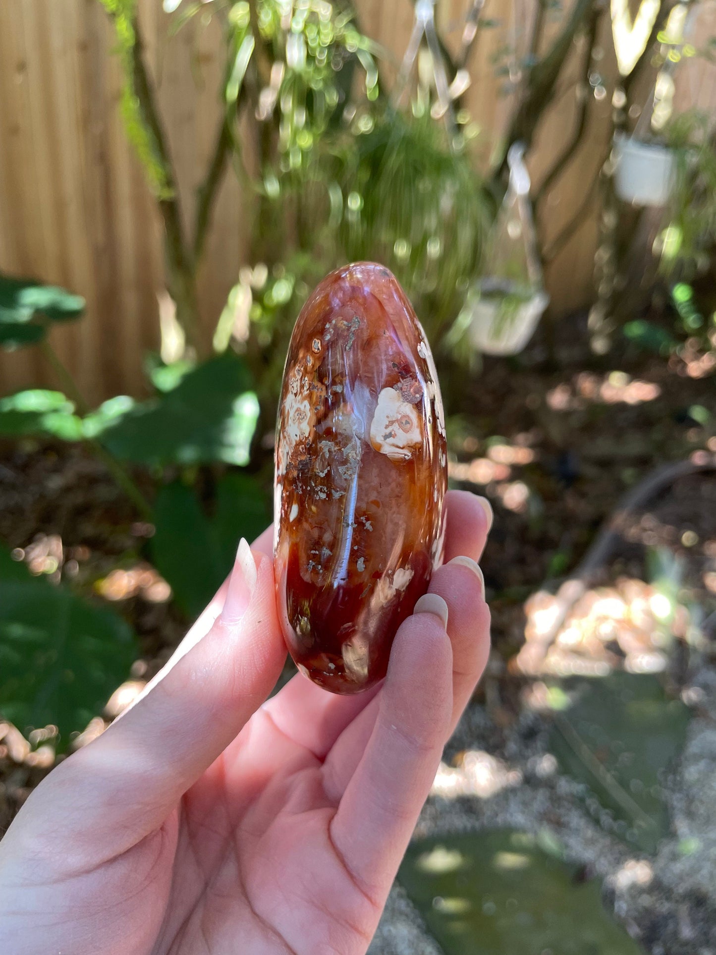 Carnelian Palm Stone Specimen 189.2g From Madagascar Specimen