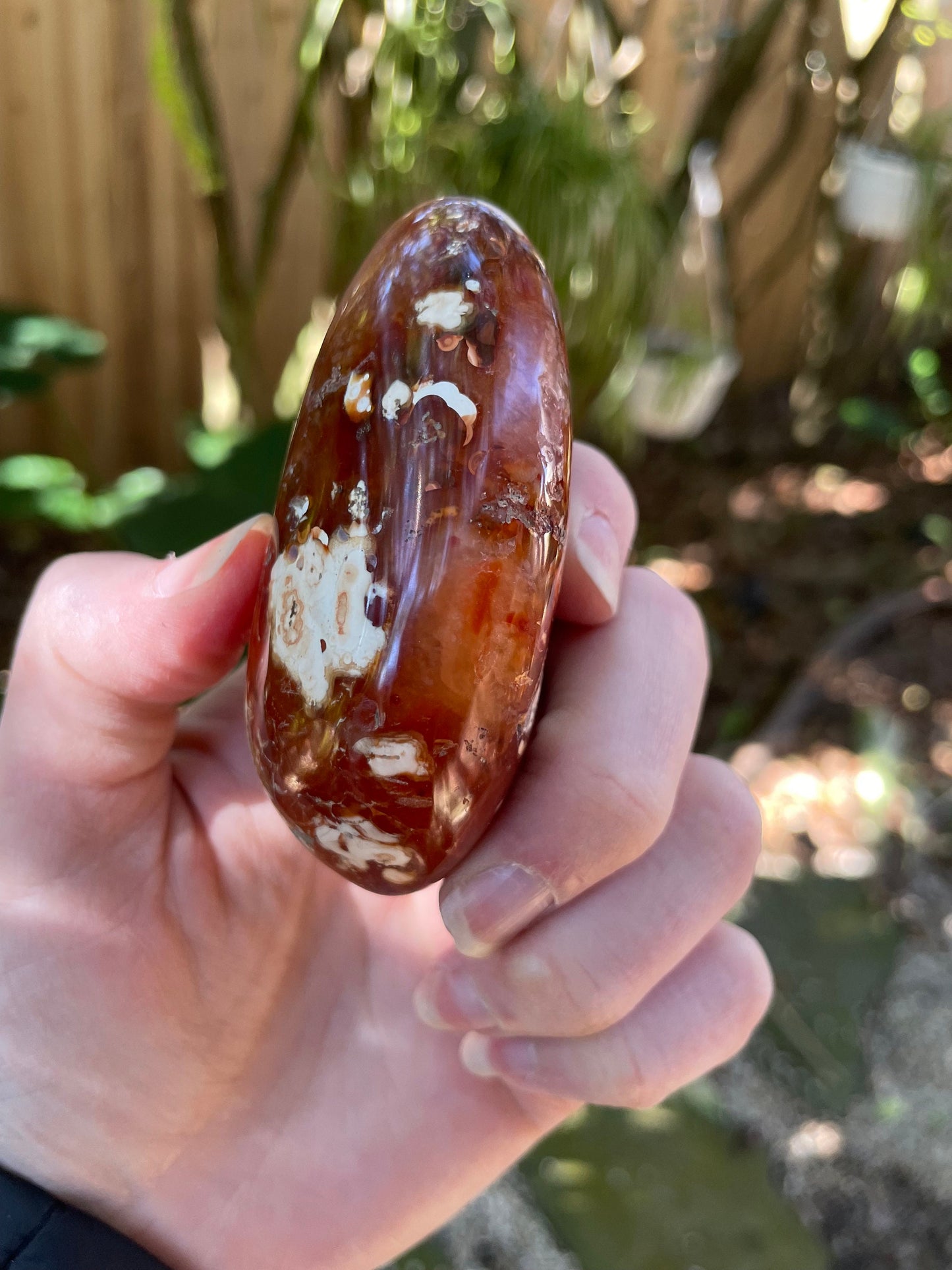 Carnelian Palm Stone Specimen 189.2g From Madagascar Specimen