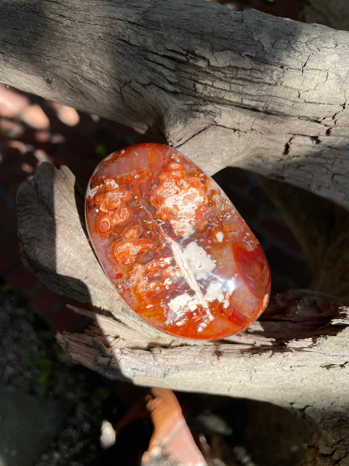 Carnelian Palm Stone Specimen 189.2g From Madagascar Specimen