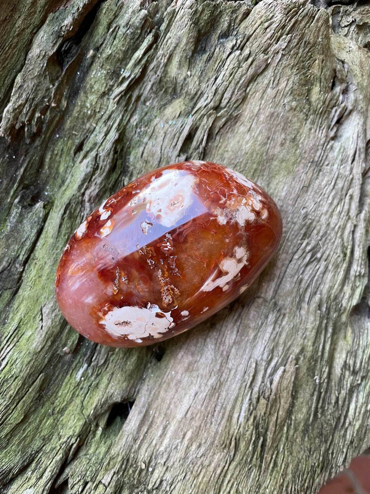 Carnelian Palm Stone Specimen 189.2g From Madagascar Specimen