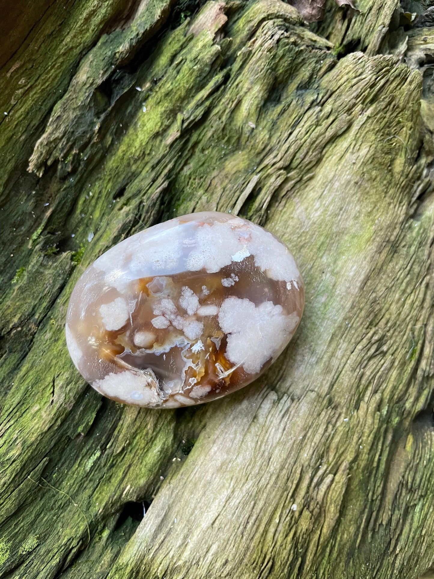 Flower Agate chalcedony Palm Stone Specimen 138.2g from Madagascar Mineral Crystal