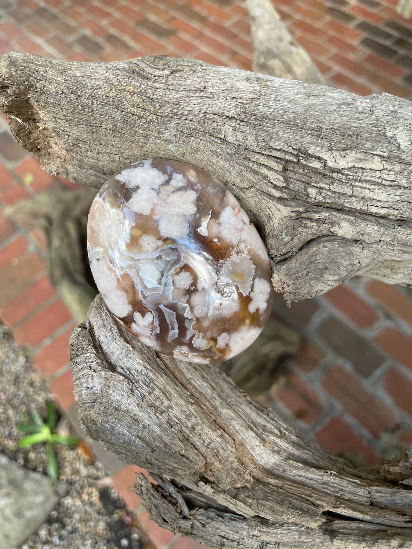 Flower Agate chalcedony Palm Stone Specimen 138.2g from Madagascar Mineral Crystal