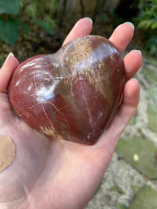 Polished Petrified Wood Heart 310g From Madagascar Mineral Specimen Crystals