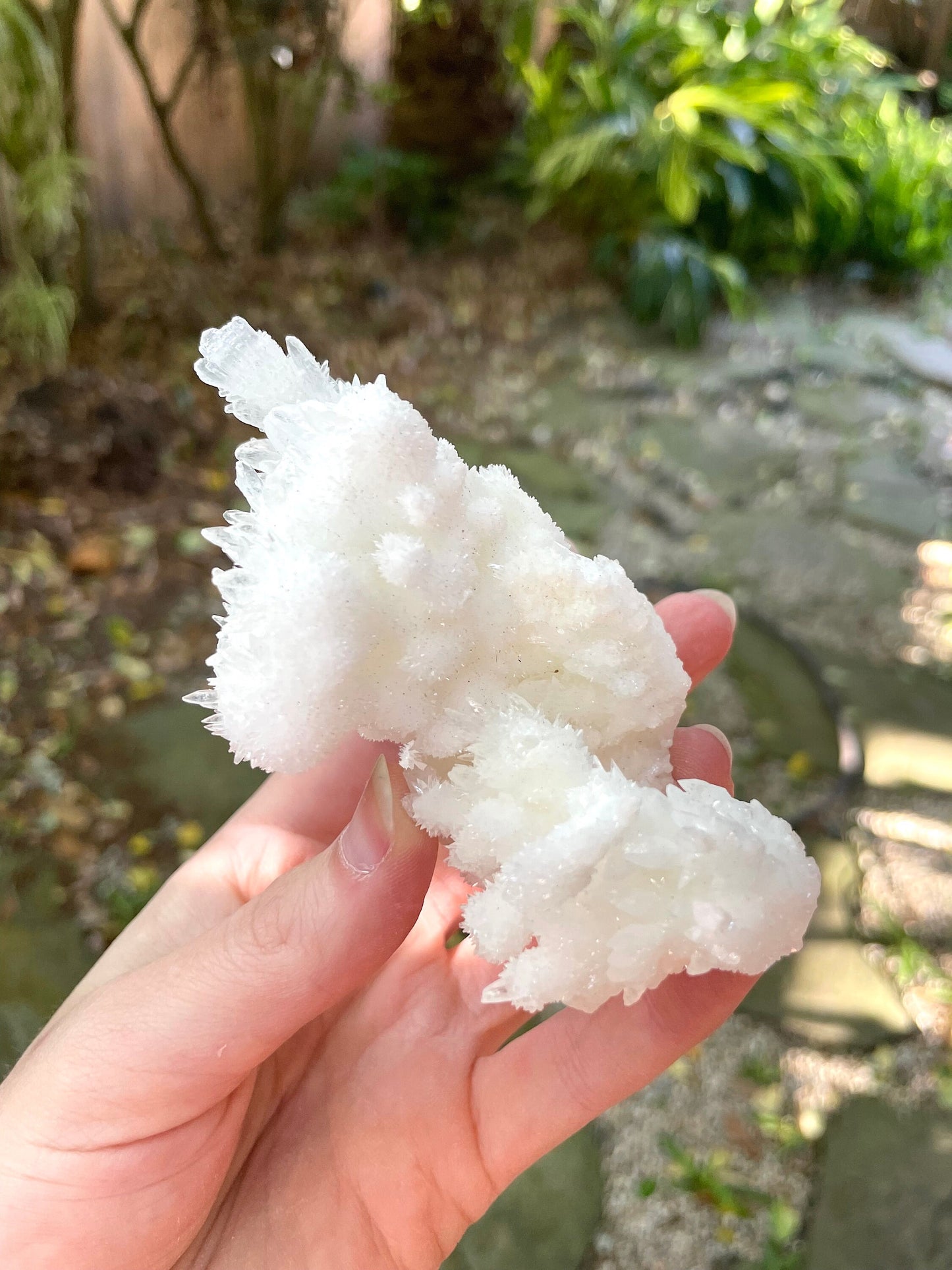 Aragonite Cave Calcite From Mexico 161.7g Specimen Crystal