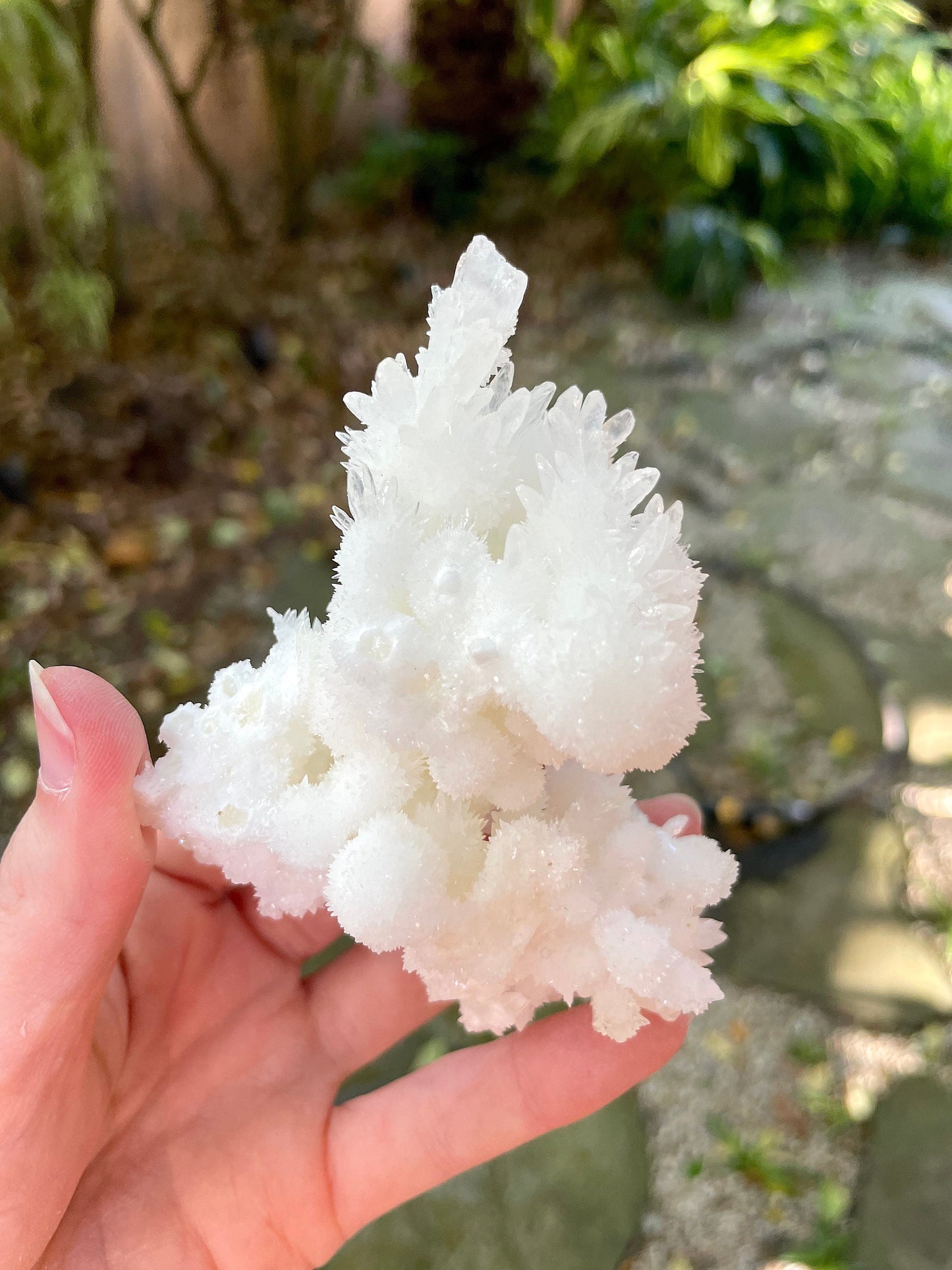 Aragonite Cave Calcite From Mexico 161.7g Specimen Crystal