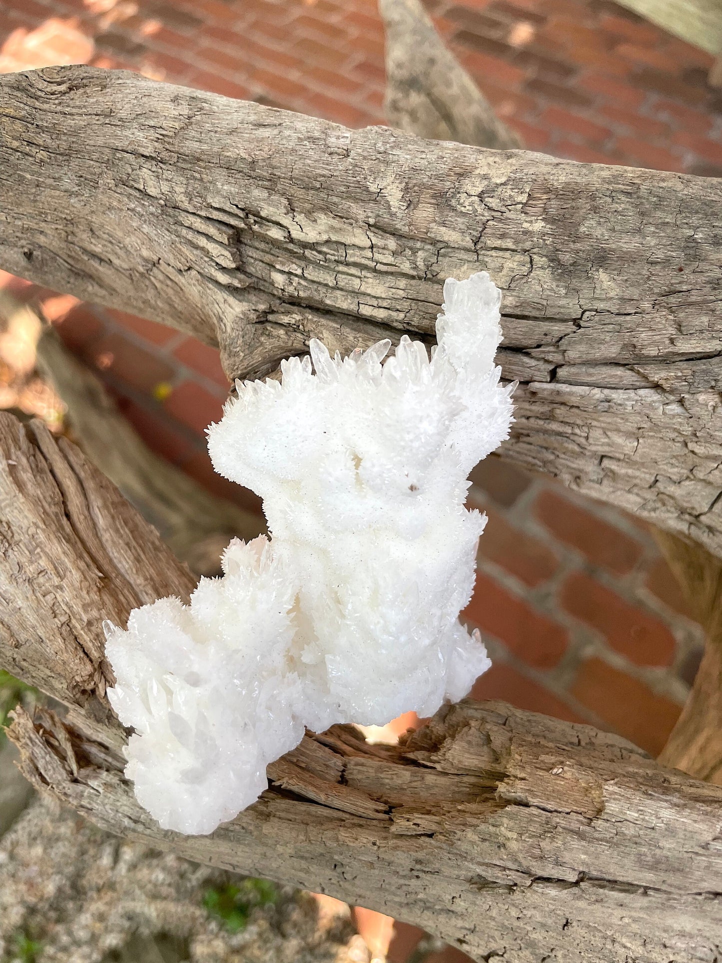 Aragonite Cave Calcite From Mexico 161.7g Specimen Crystal