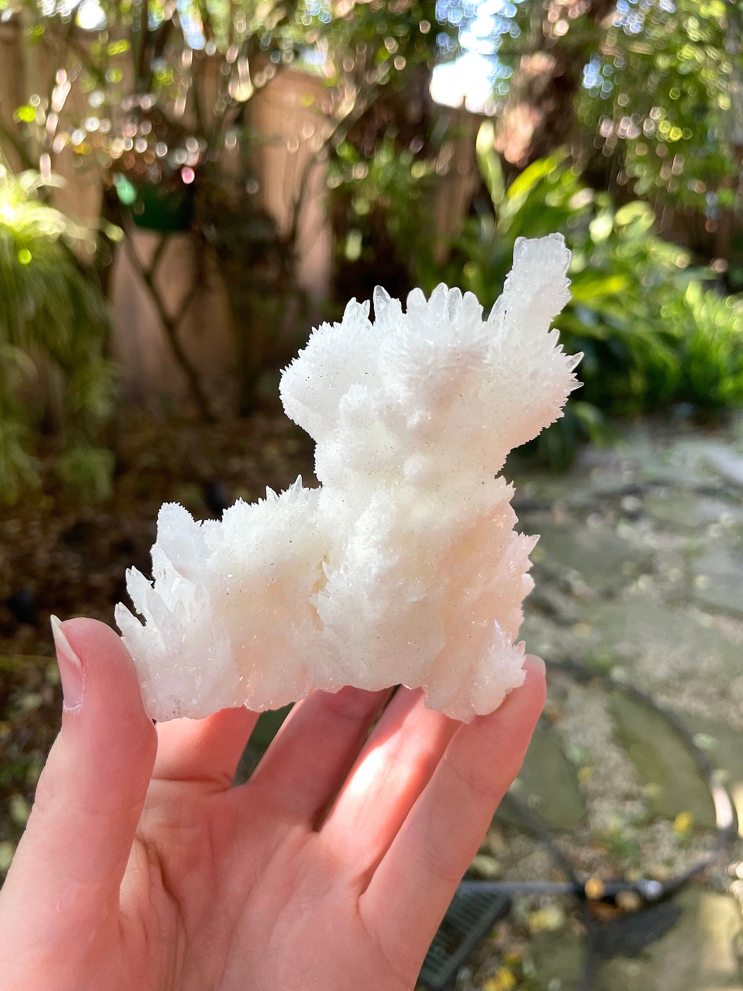 Aragonite Cave Calcite From Mexico 161.7g Specimen Crystal