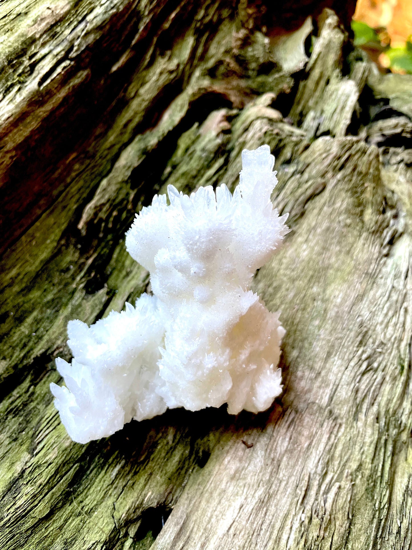 Aragonite Cave Calcite From Mexico 161.7g Specimen Crystal