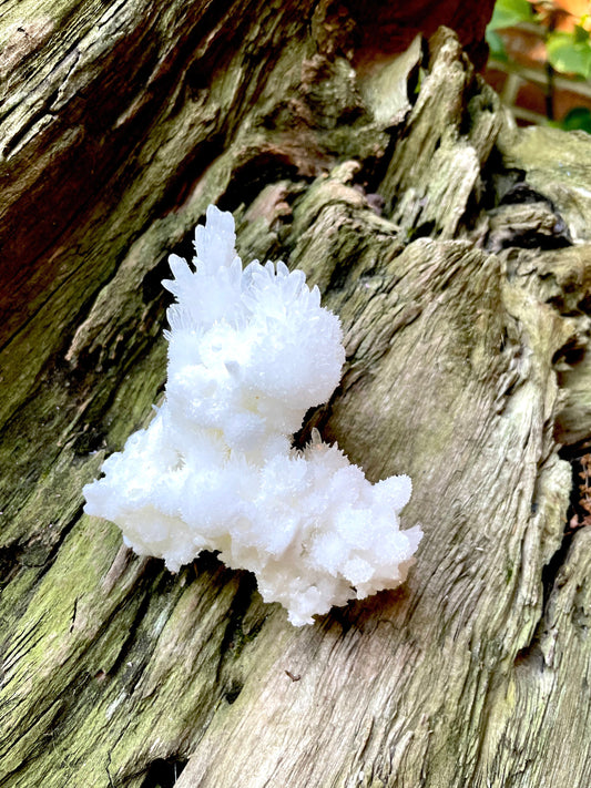 Aragonite Cave Calcite From Mexico 161.7g Specimen Crystal