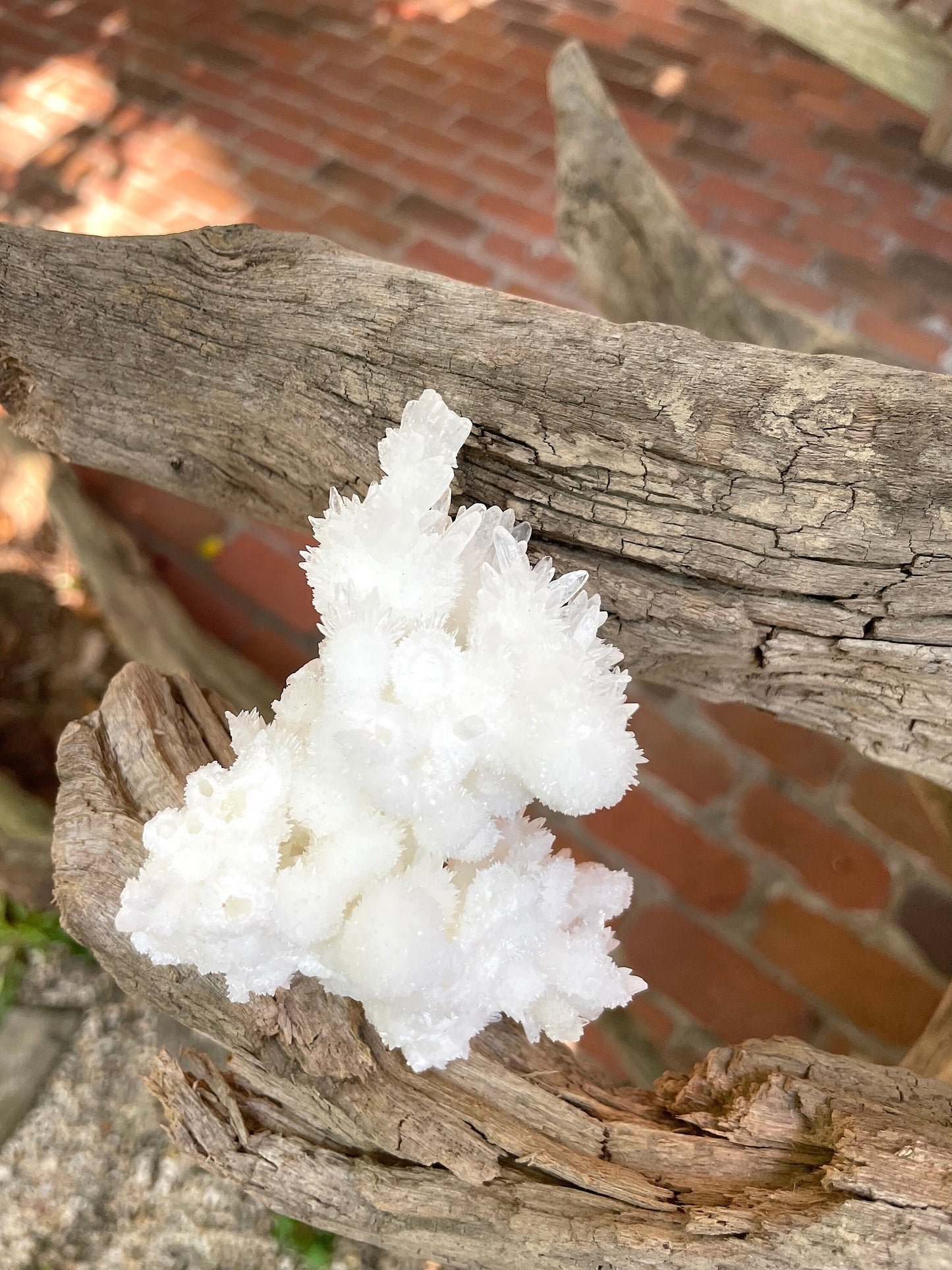 Aragonite Cave Calcite From Mexico 161.7g Specimen Crystal