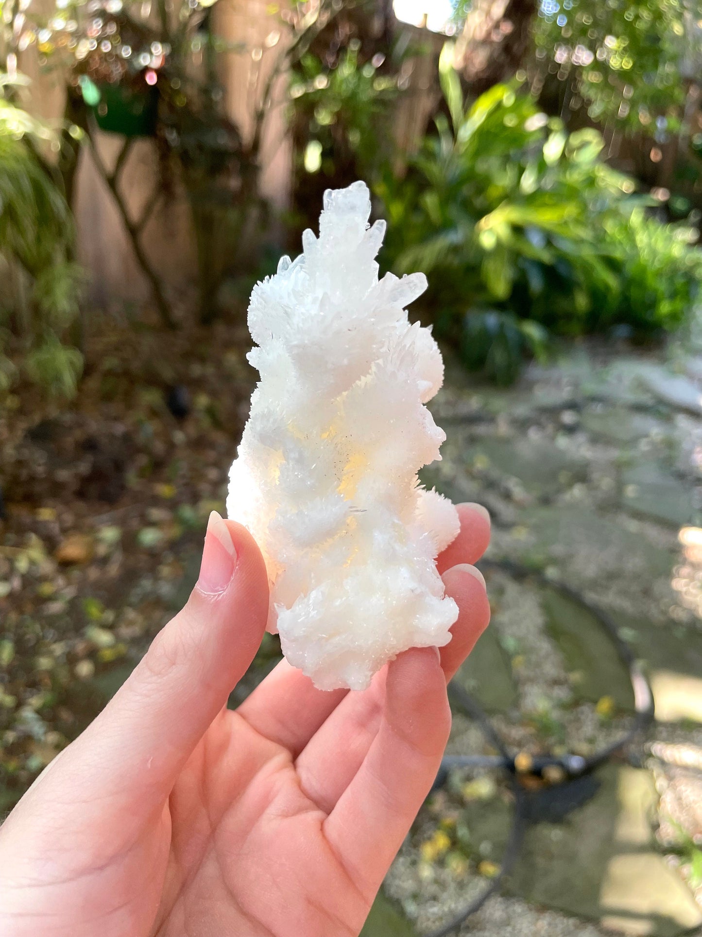 Aragonite Cave Calcite From Mexico 161.7g Specimen Crystal