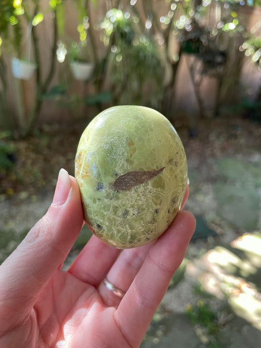 Polished Green Opal Palm Stone From Madagascar, Specimen 107.5g Crystal Mineral