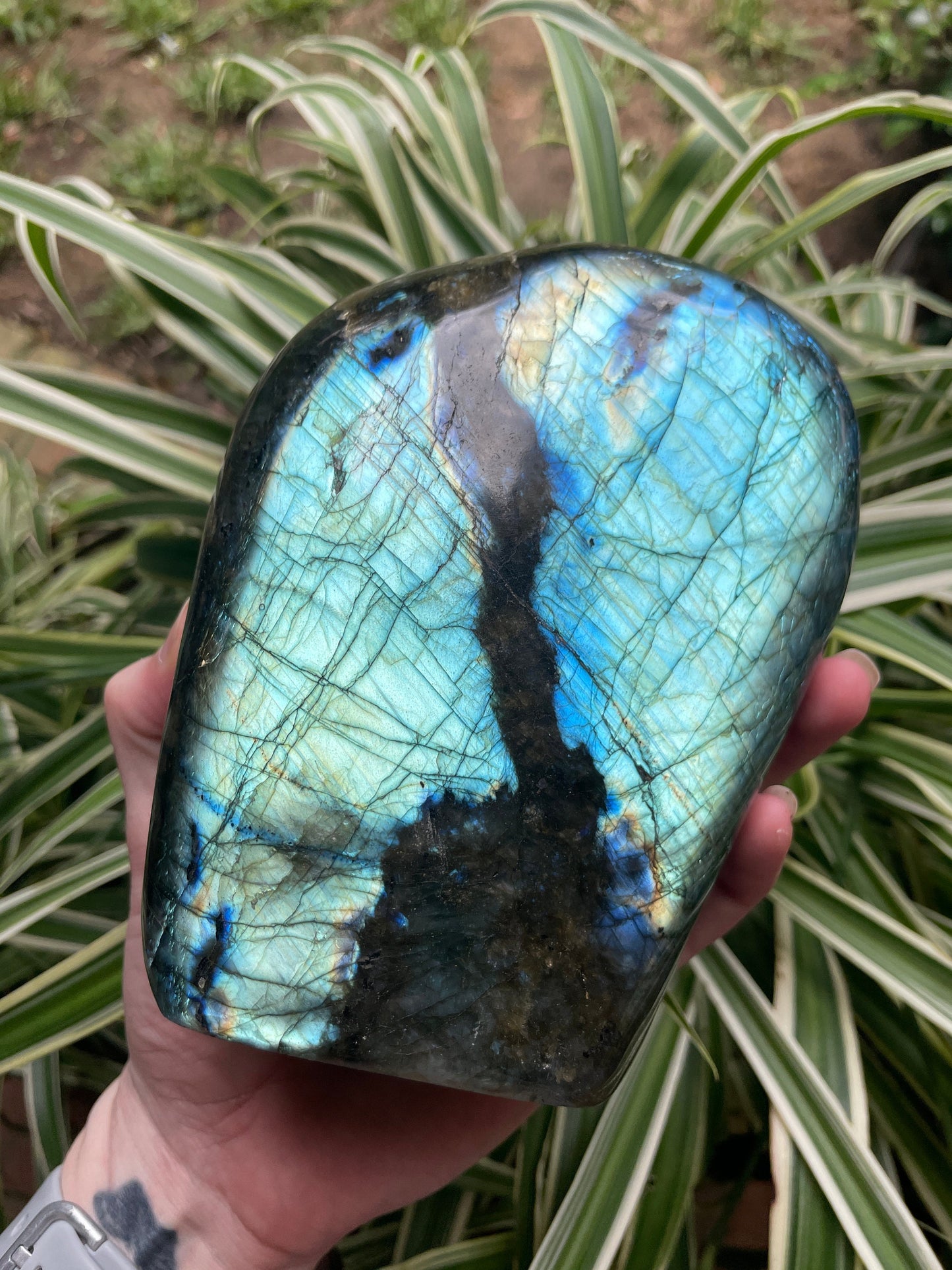Polished Labradorite Freestanding Display Stone 1780g Specimen Great Flash Mineral Crystal