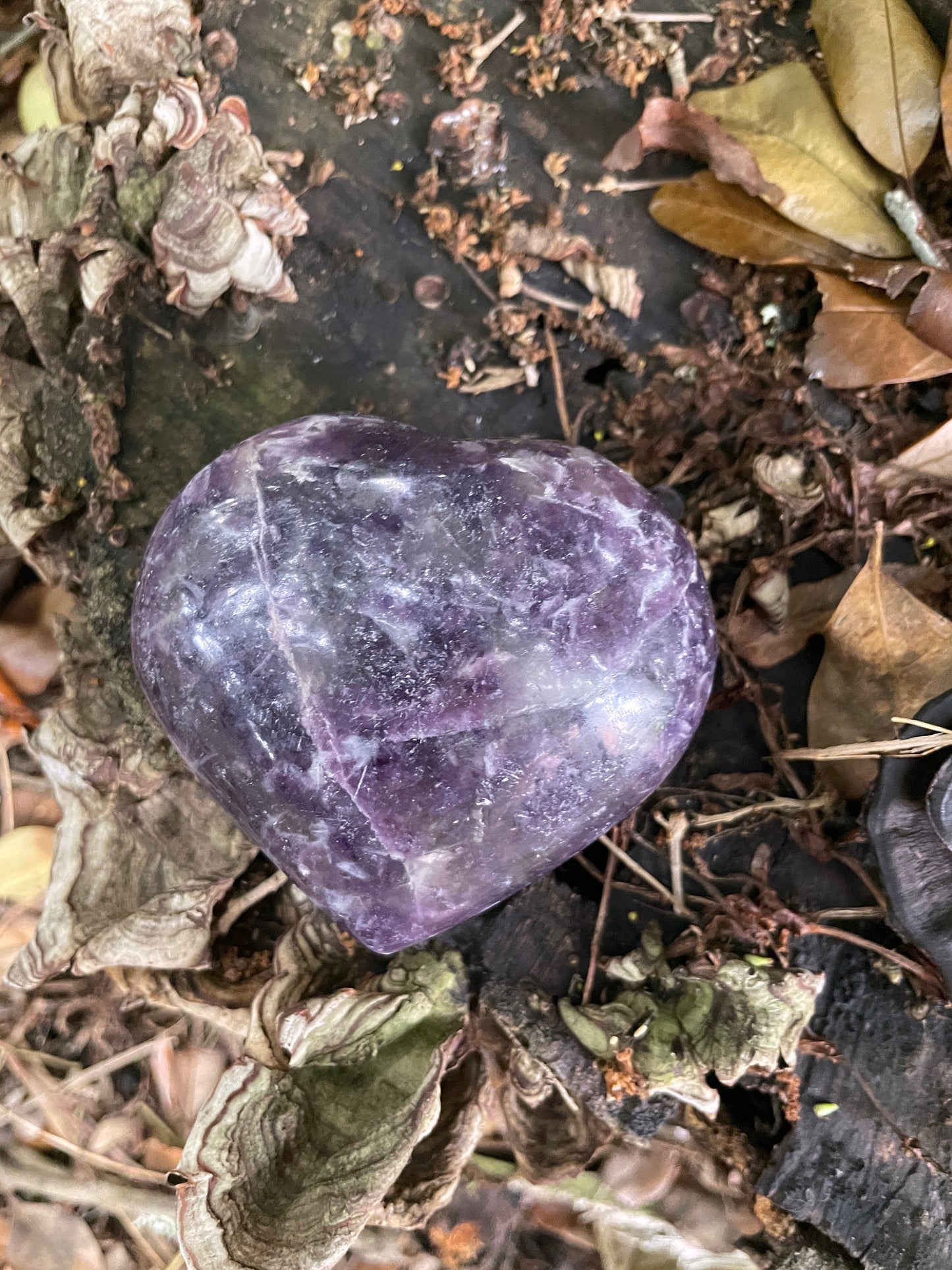 Polished Purple Lepidolite Heart Stone Specimen 338gg From Madagascar Minerals Crystals