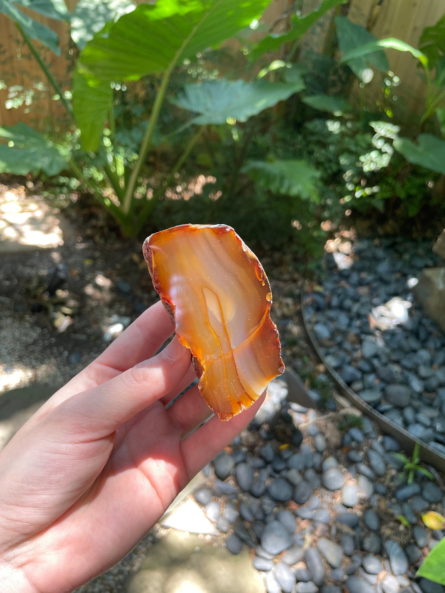 Beautiful Half Polished Cut Agate Specimen 228g From Brazil