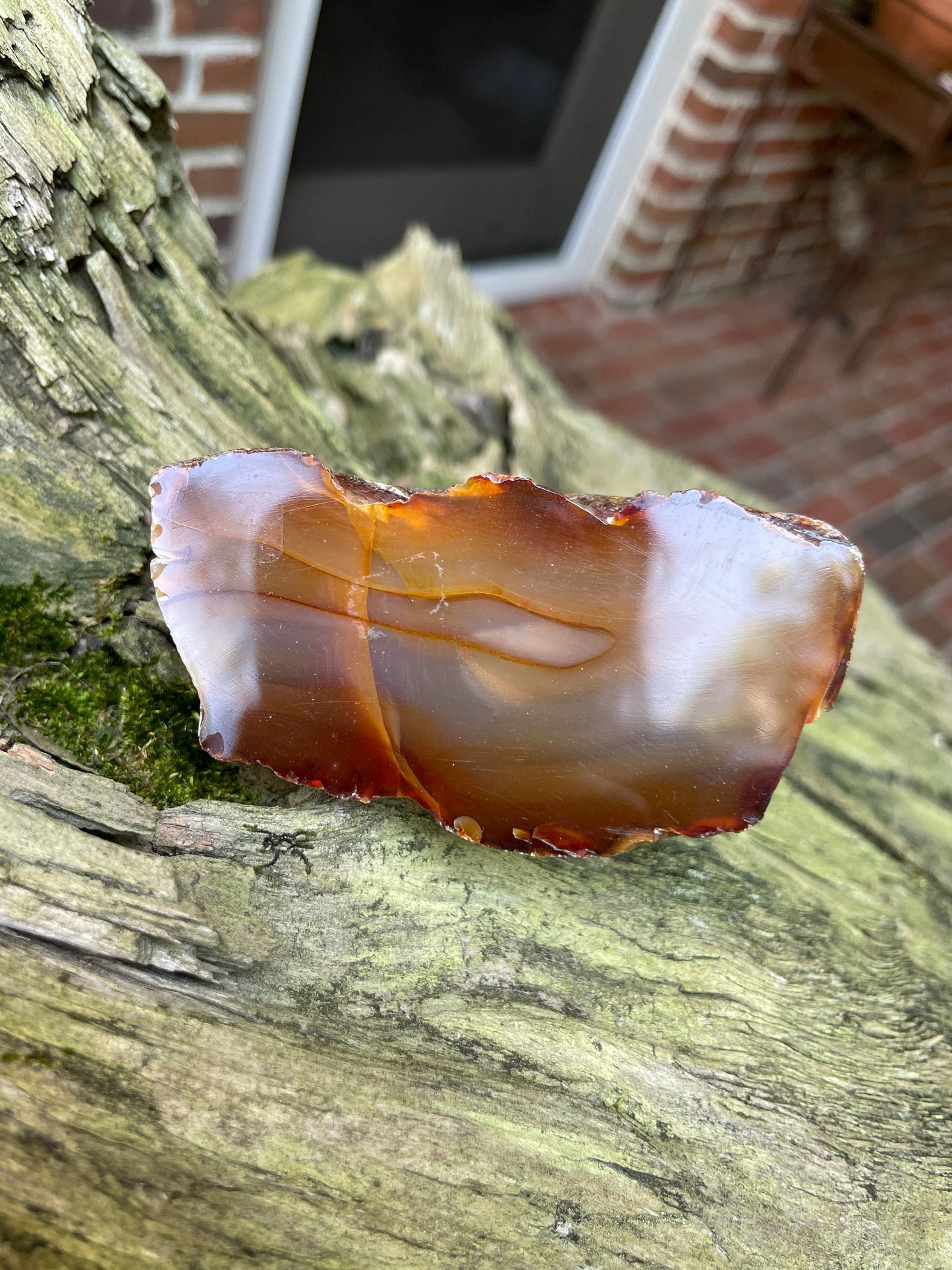 Beautiful Half Polished Cut Agate Specimen 228g From Brazil