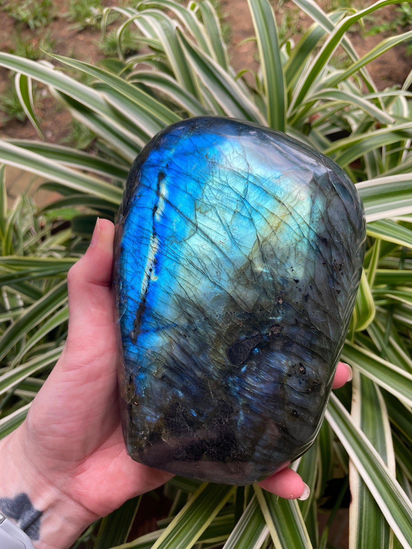 Polished Labradorite Freestanding Display Stone 1780g Specimen Great Flash Mineral Crystal