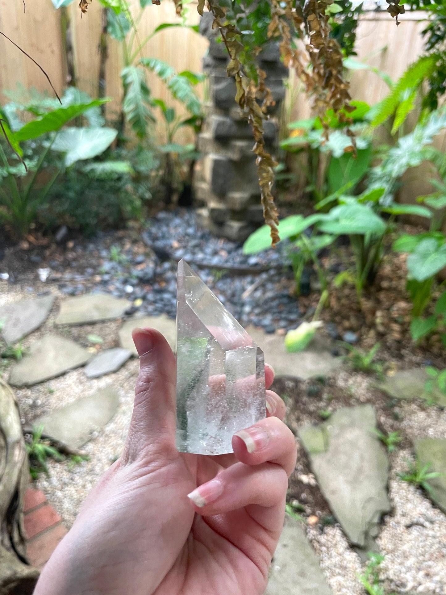 Green Chlorite Included Polished Phantom Quartz 192.6 Specimen Crystals Minerals