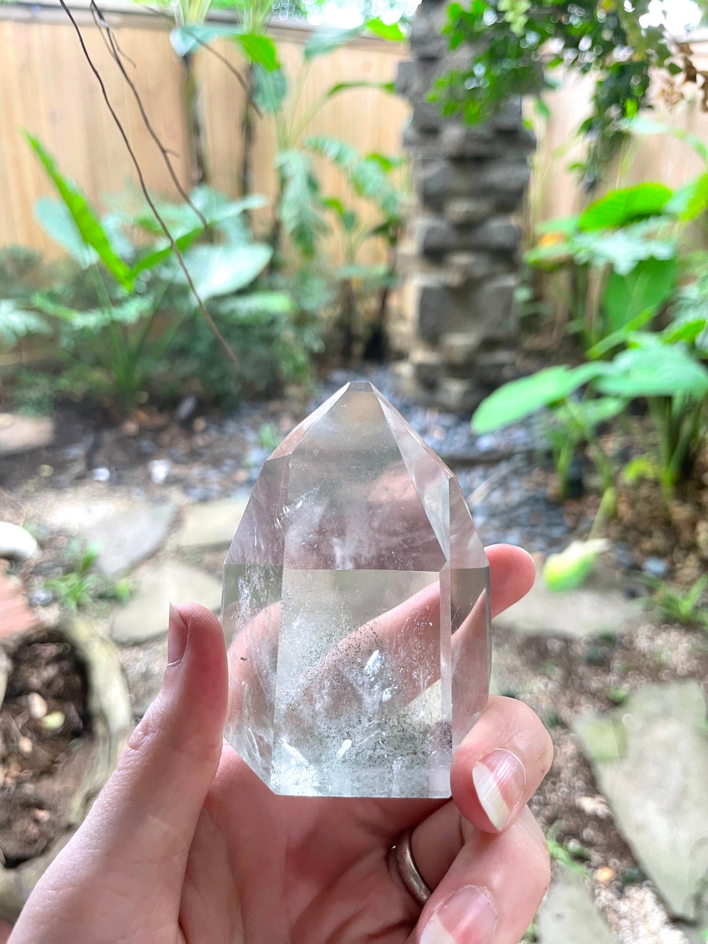 Green Chlorite Included Polished Phantom Quartz 192.6 Specimen Crystals Minerals