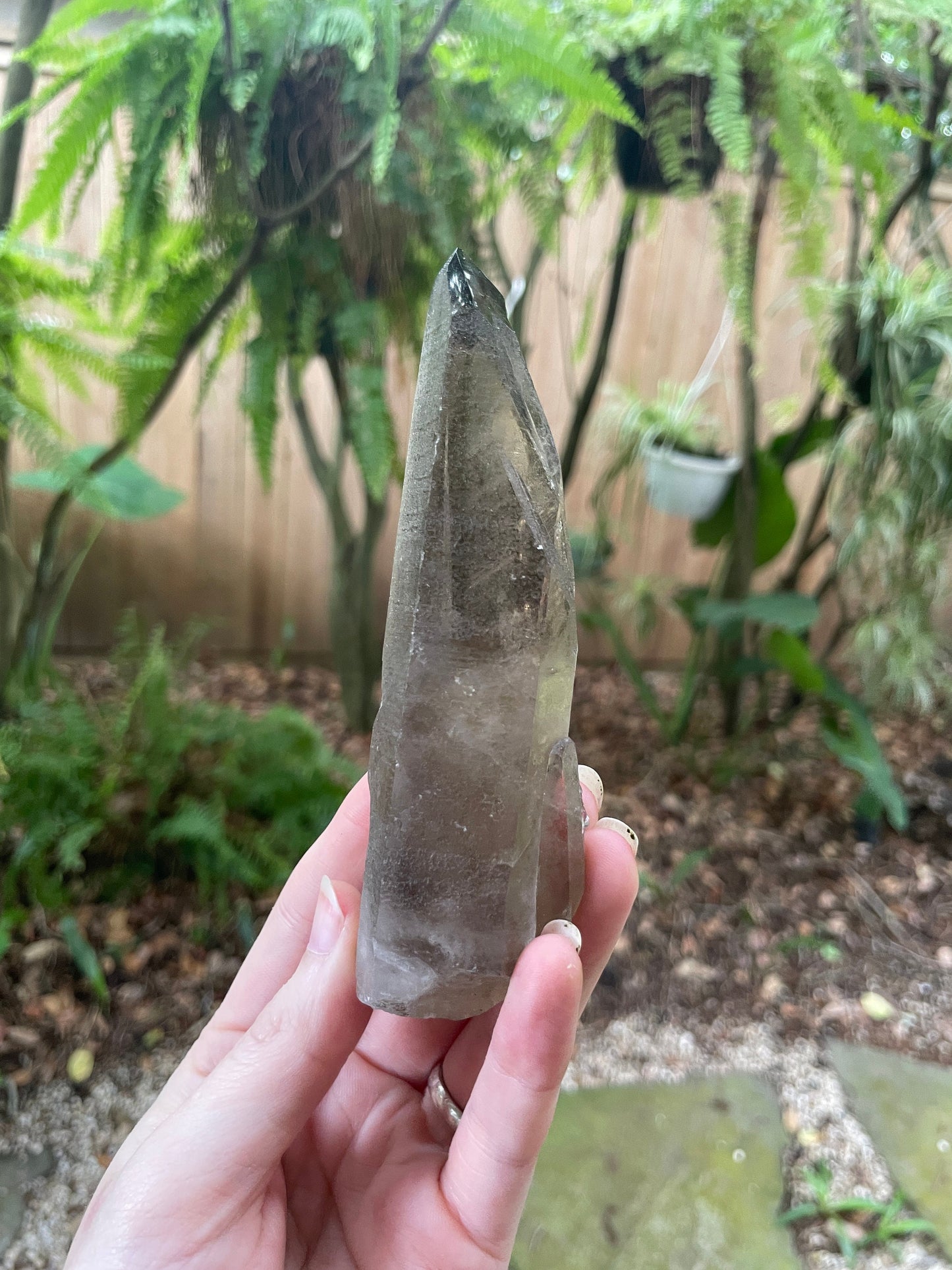 Smokey Quartz Point Specimen Polished Tip, Minas Gerias, Brazil. 190g, Specimen Mineral