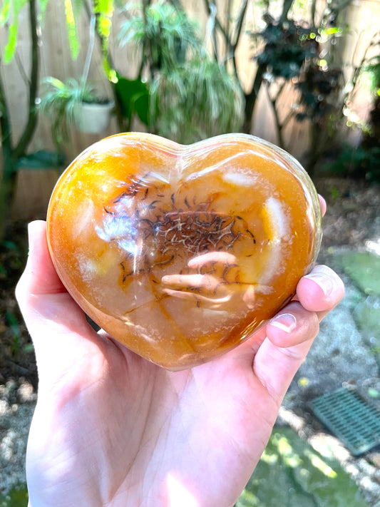 Large Carnelian Polished  Heart Stone Specimen 532g From Madagascar Mineral Crystal