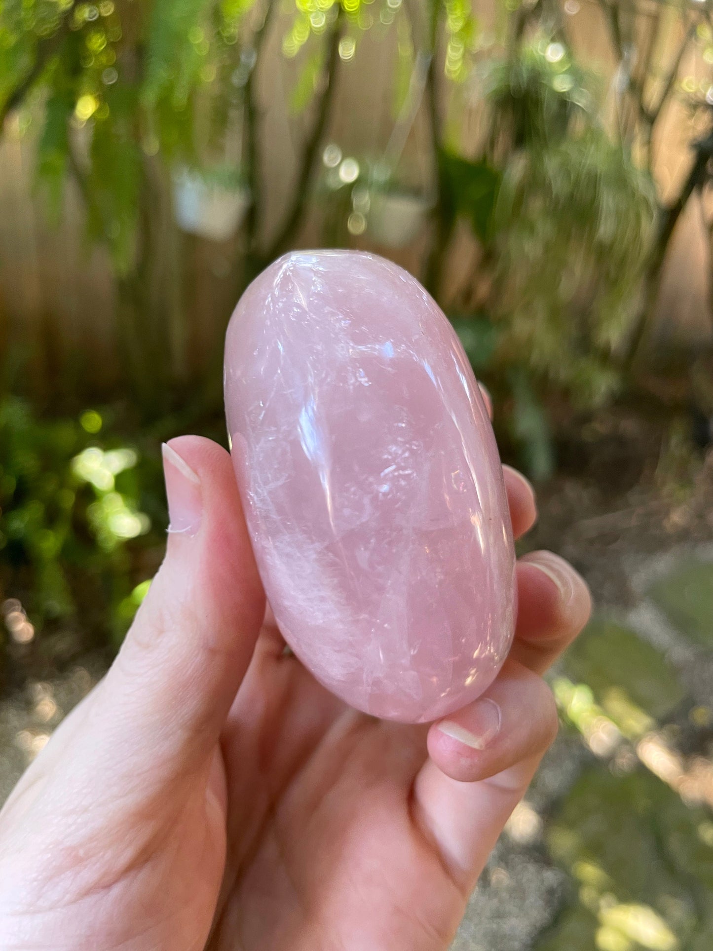 Polished Rose Quartz Palm Stone From Madagascar 212g Specimen Mineral Crystal