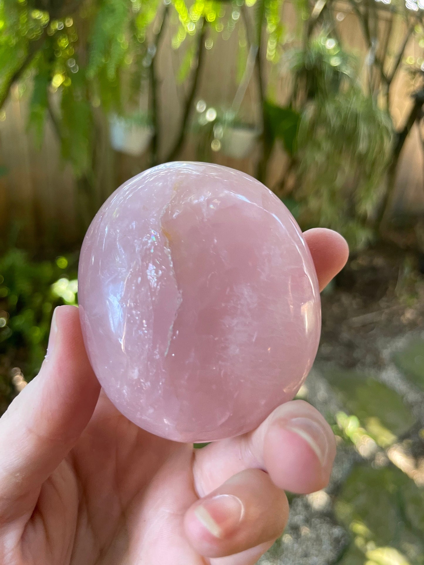 Polished Rose Quartz Palm Stone From Madagascar 212g Specimen Mineral Crystal